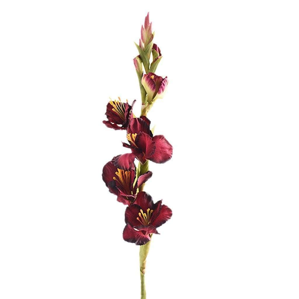 صورة المنتج 5