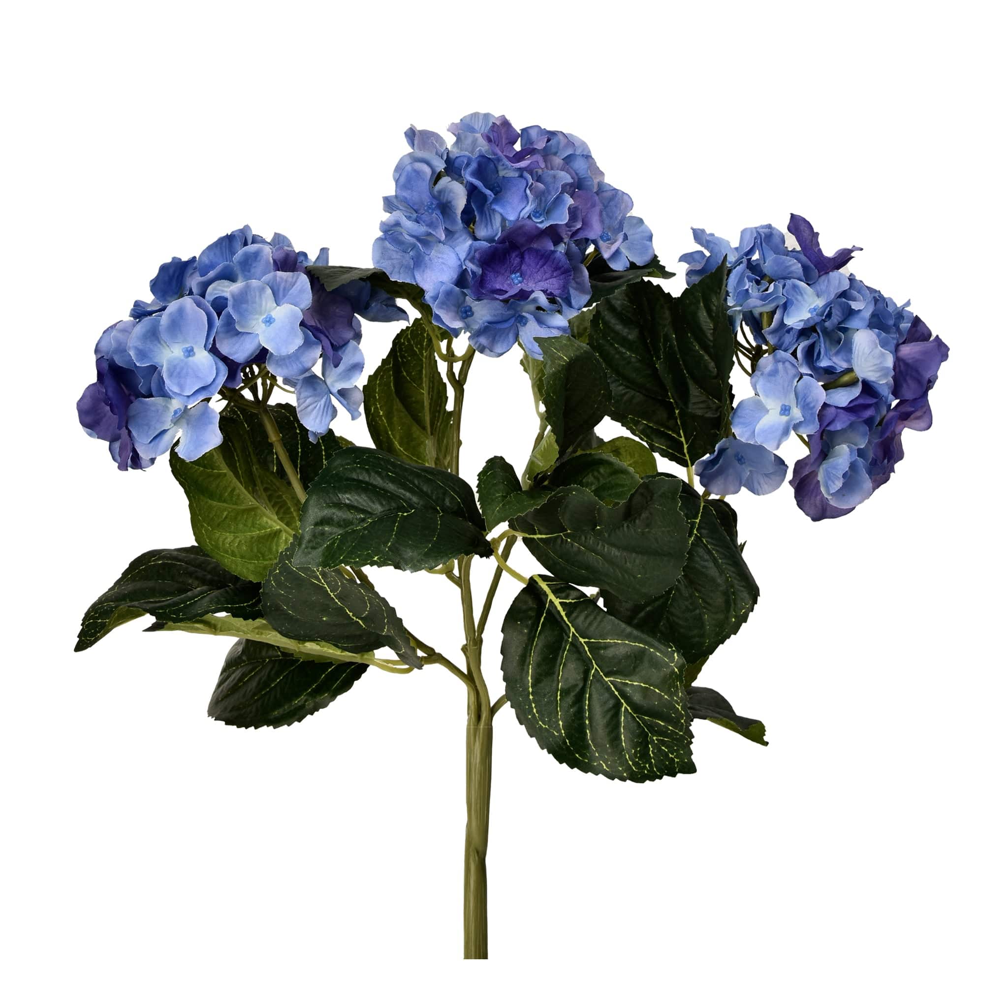 صورة المنتج 4