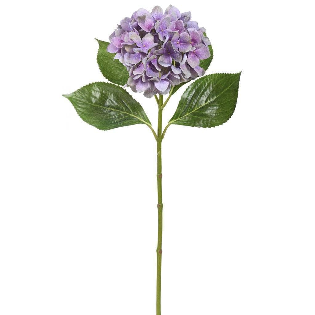 صورة المنتج 3