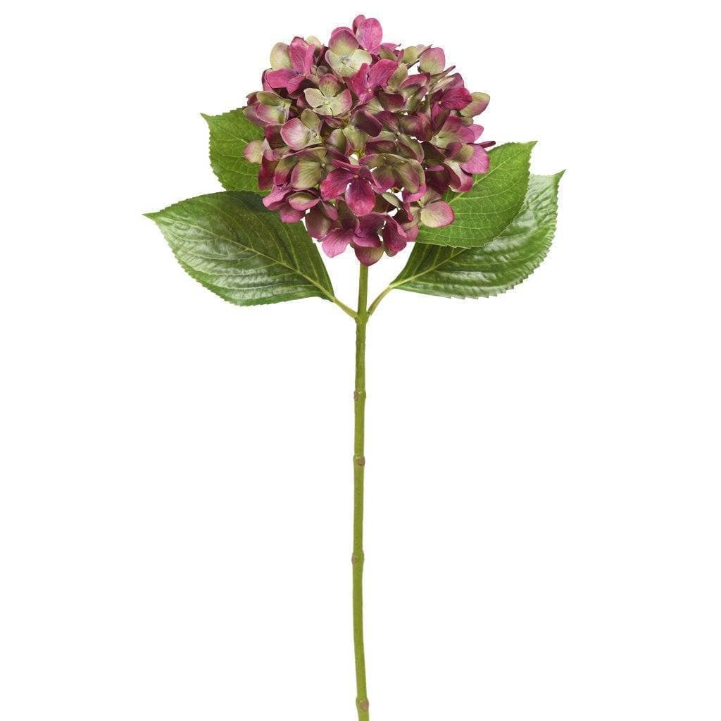 صورة المنتج 4