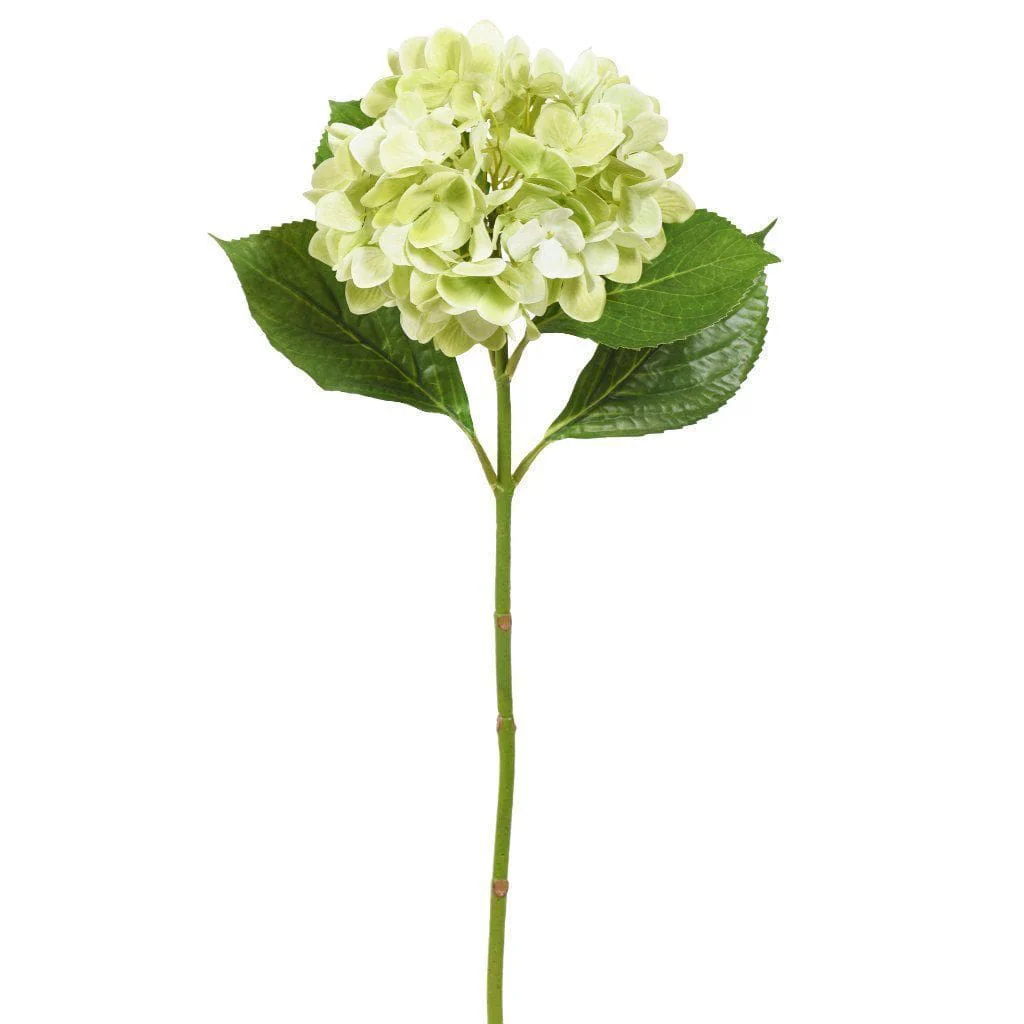 صورة المنتج 5