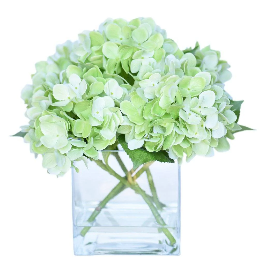 صورة المنتج 5