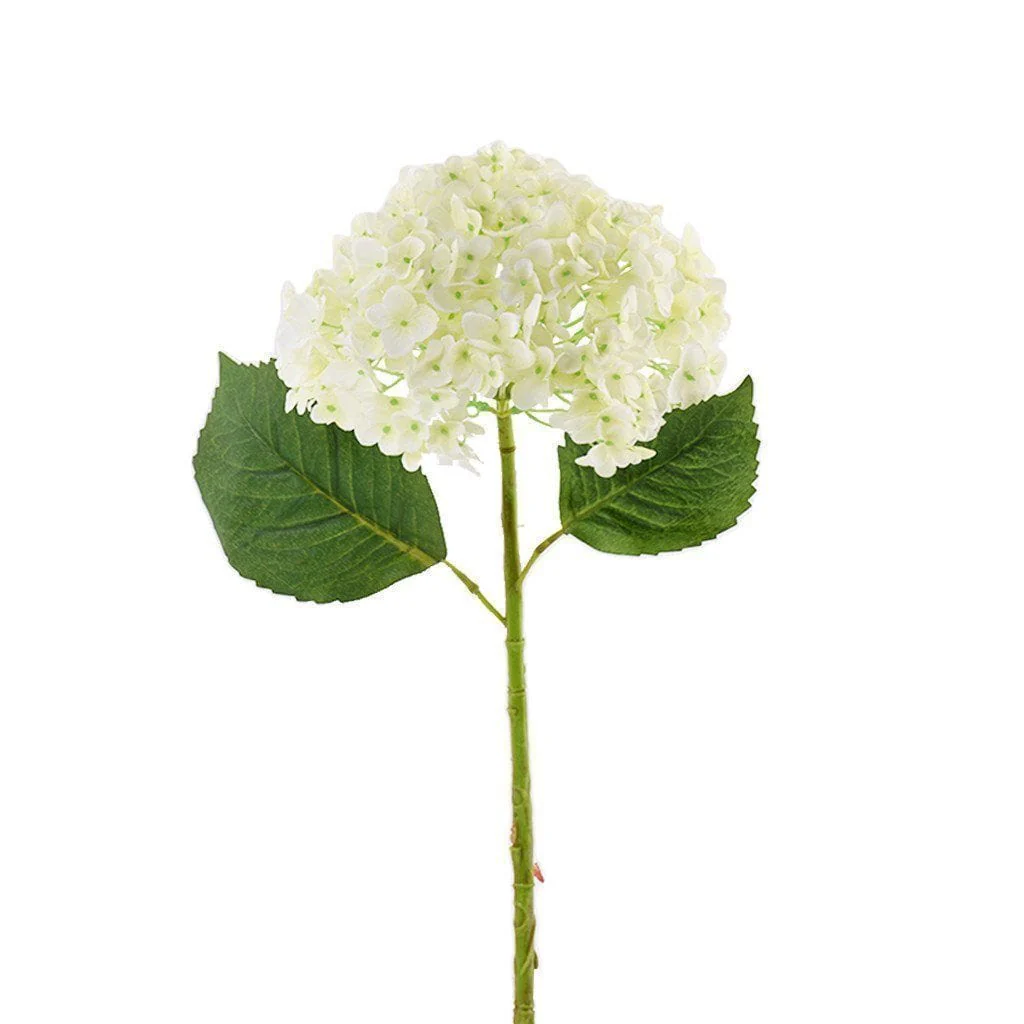 صورة مصغرة 1