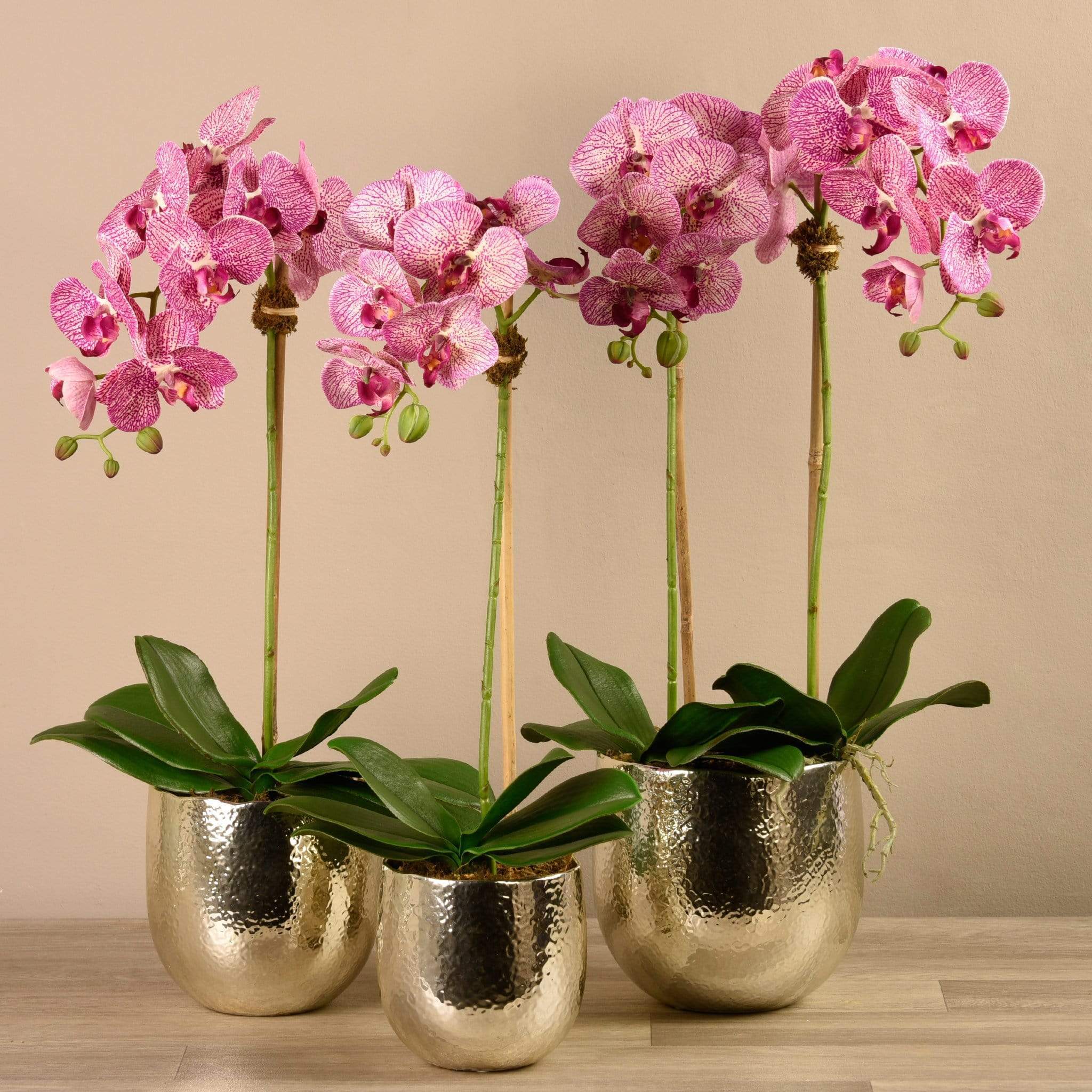 صورة المنتج 12