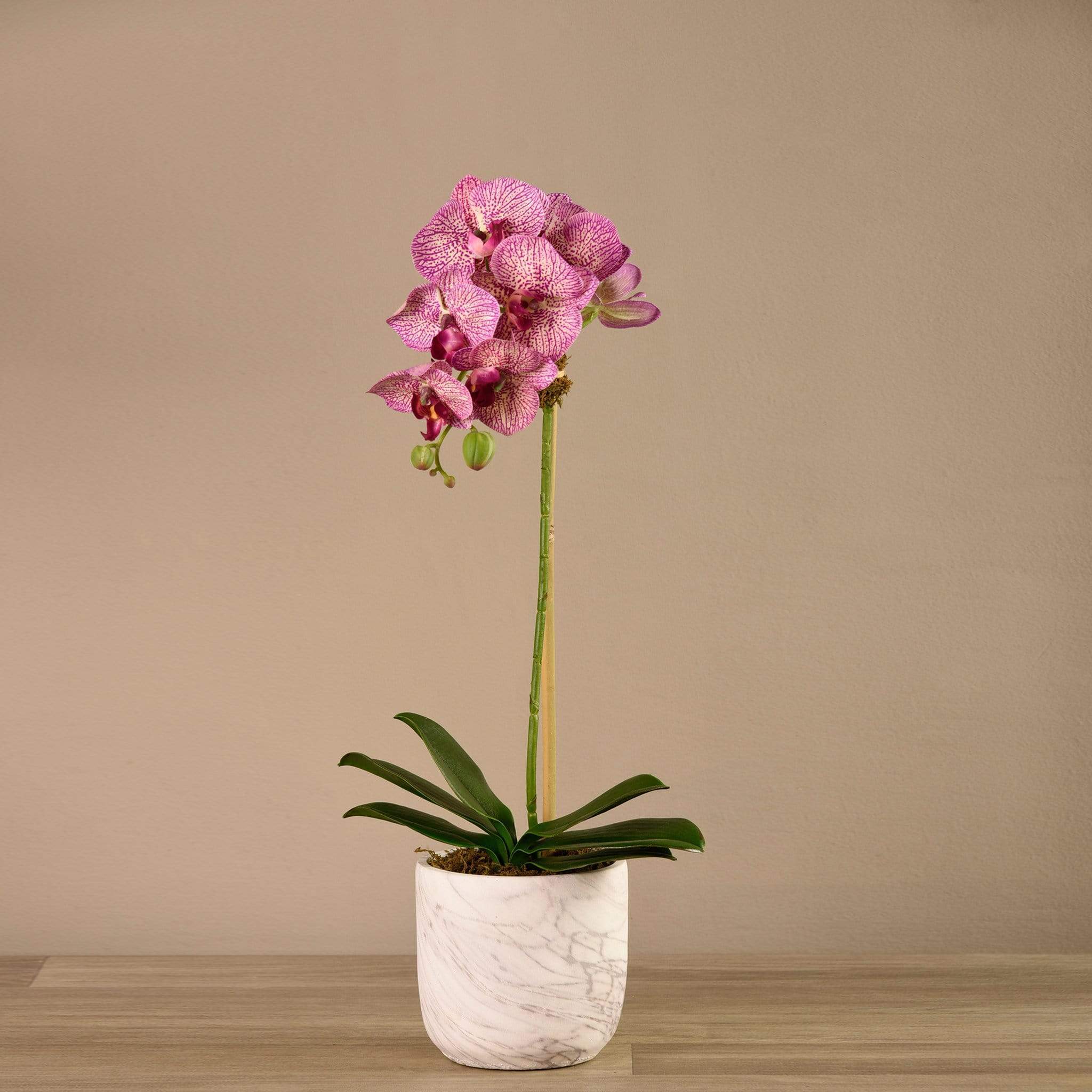 صورة المنتج 10