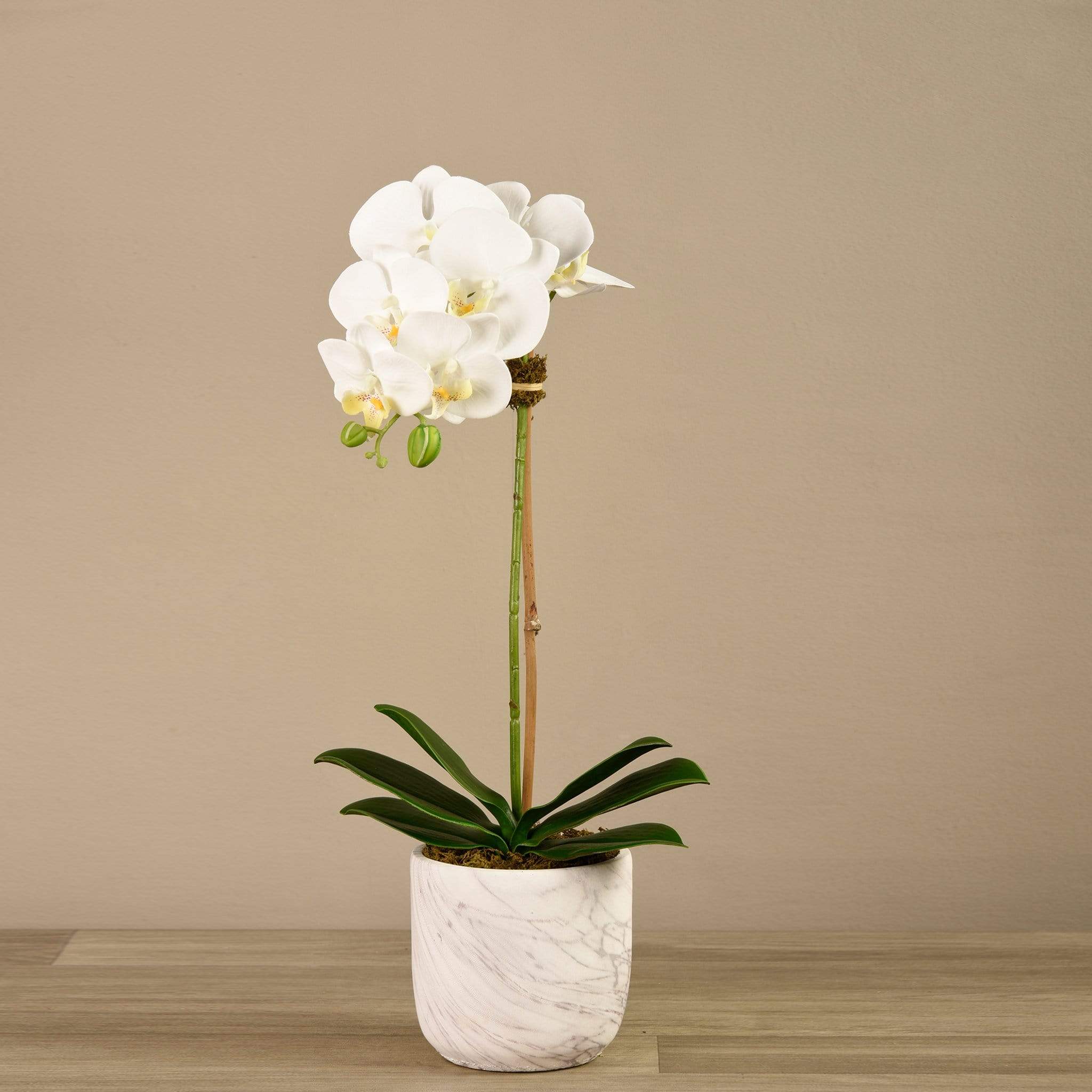 صورة المنتج 2