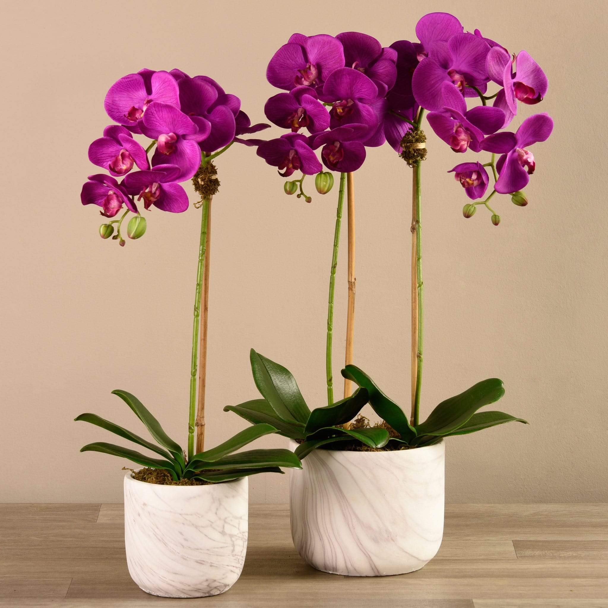 صورة المنتج 6