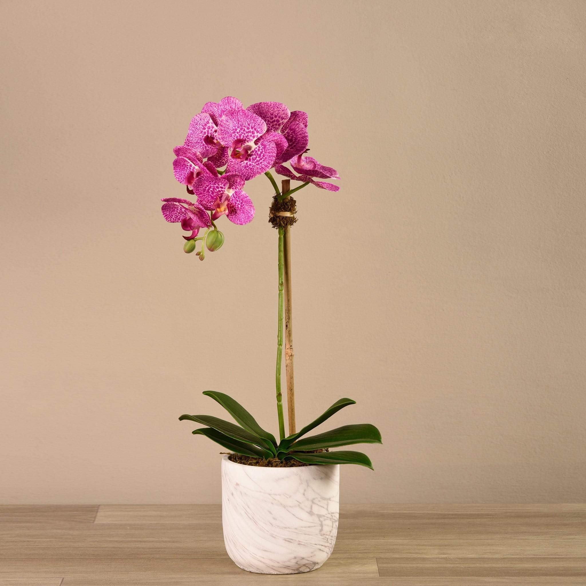 صورة المنتج 7
