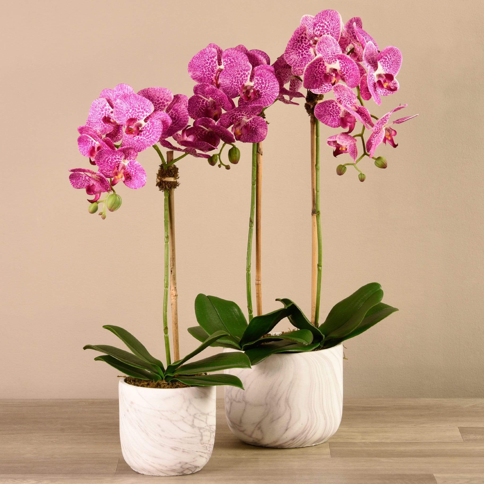 صورة المنتج 9
