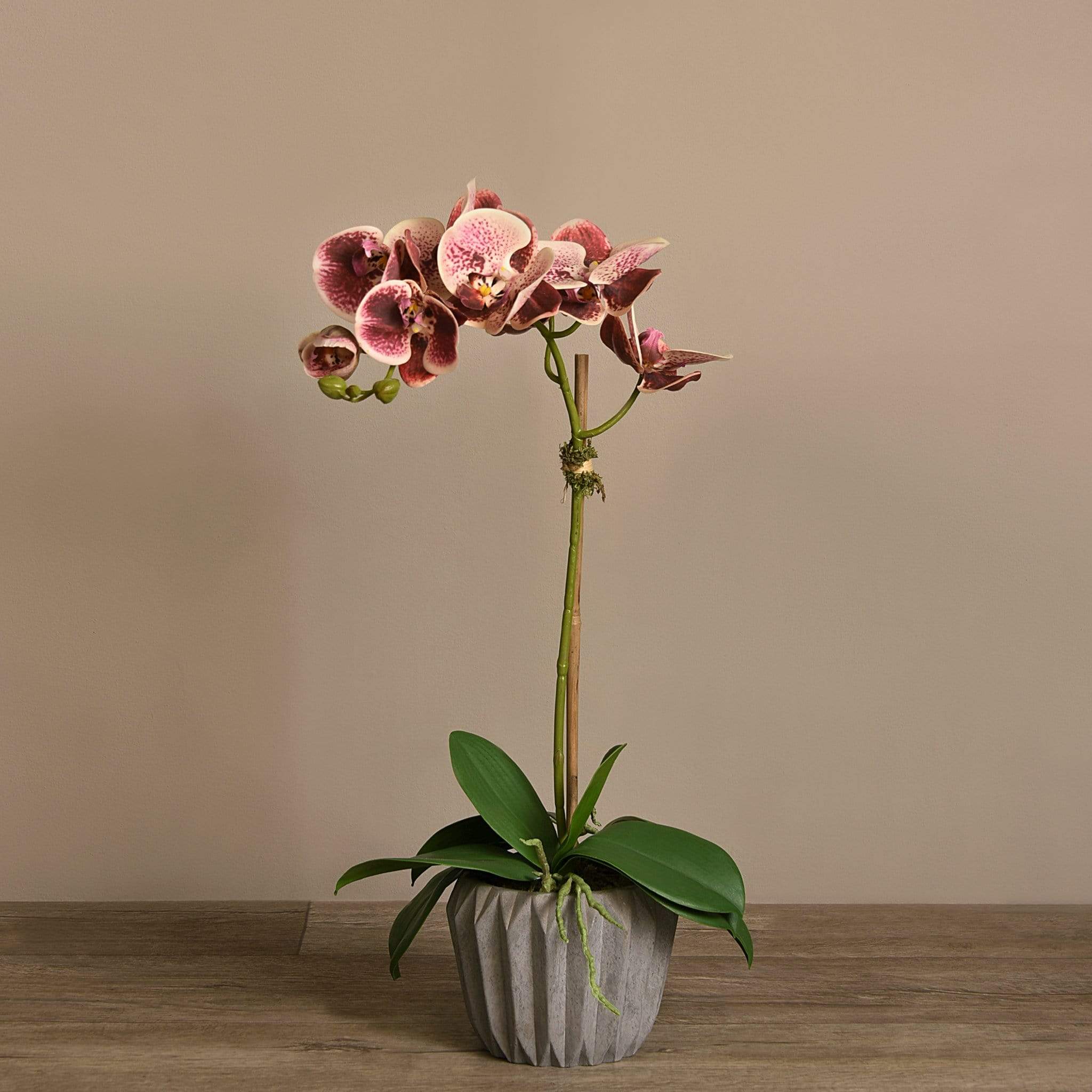 صورة المنتج 19