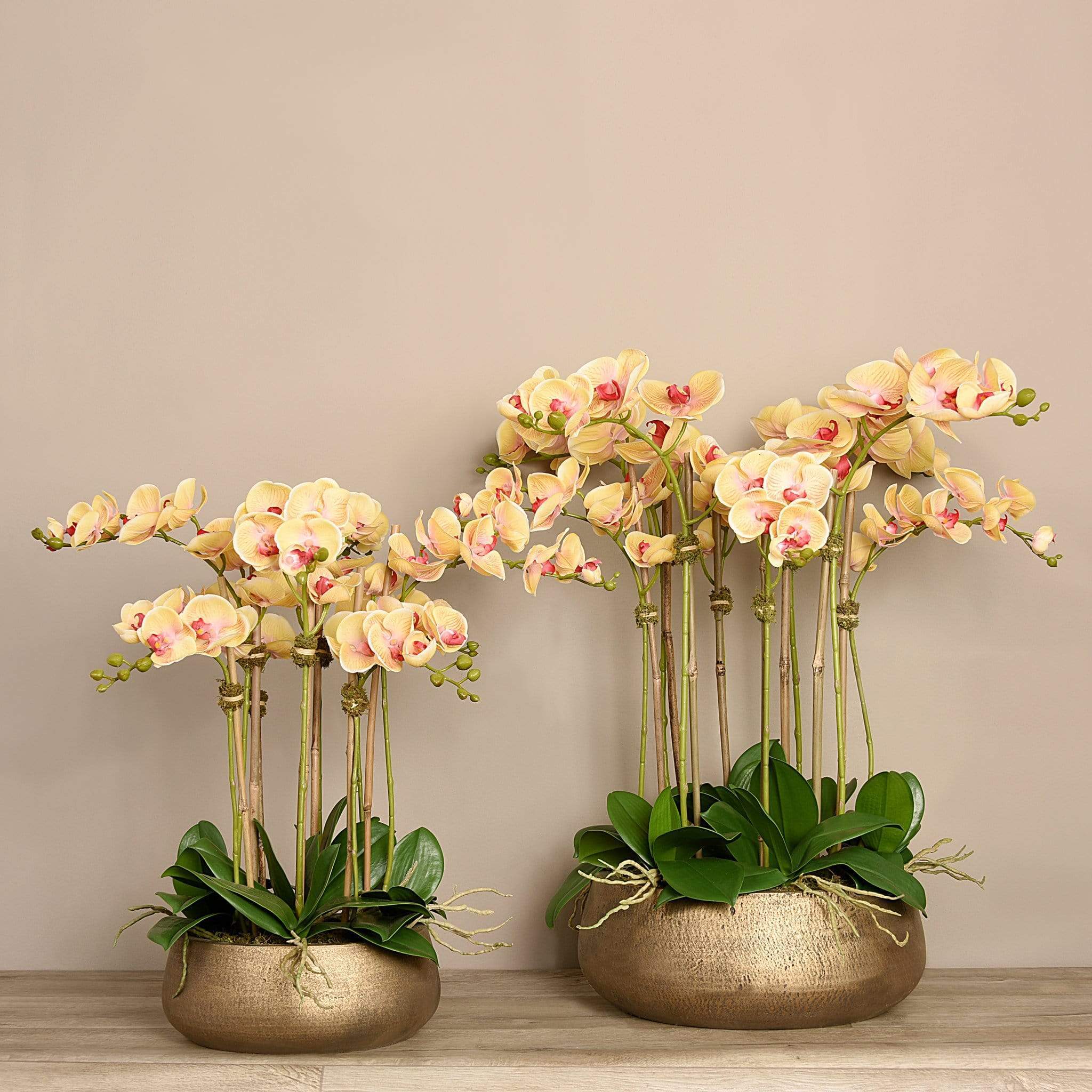 صورة المنتج 10