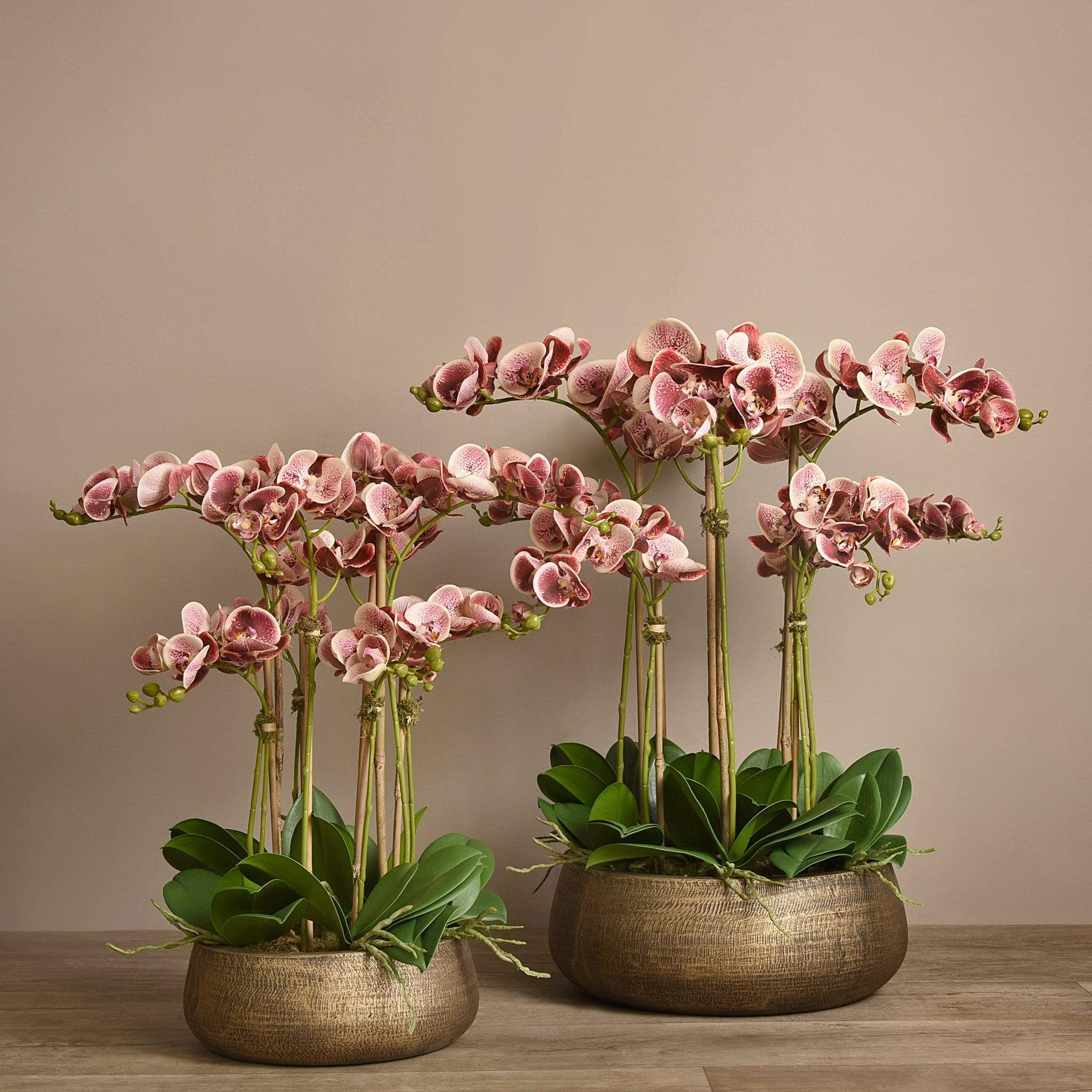 صورة المنتج 13