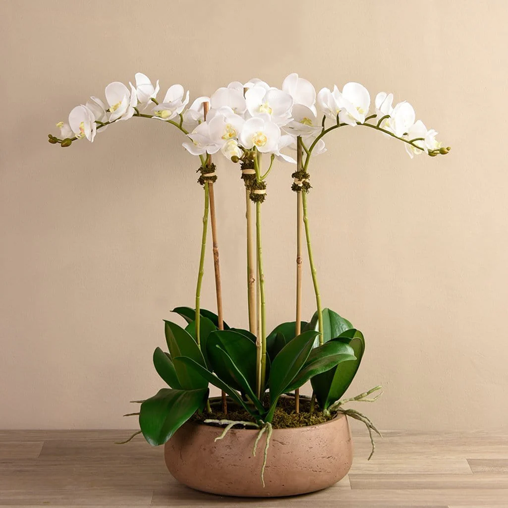 صورة المنتج 3