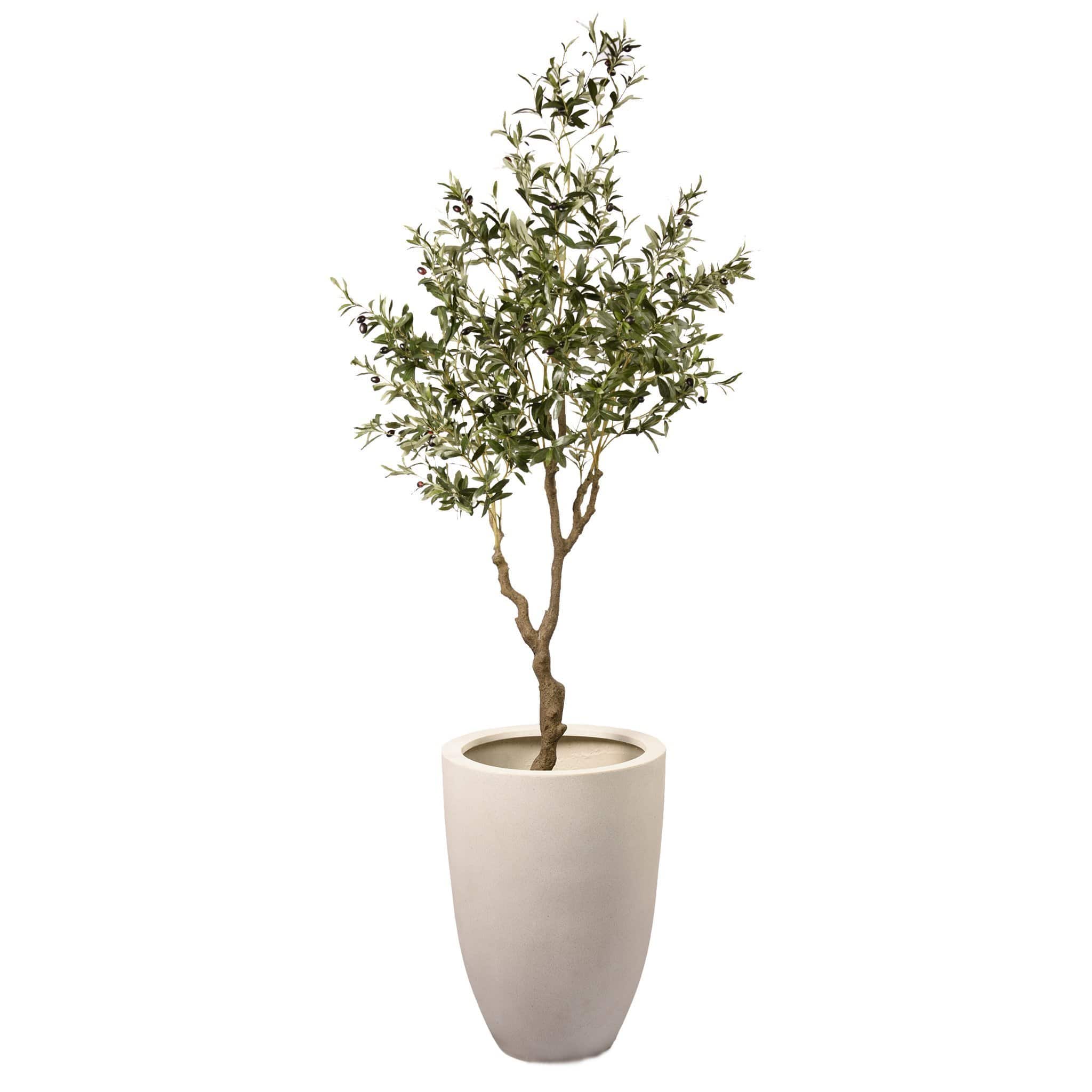 صورة المنتج 5
