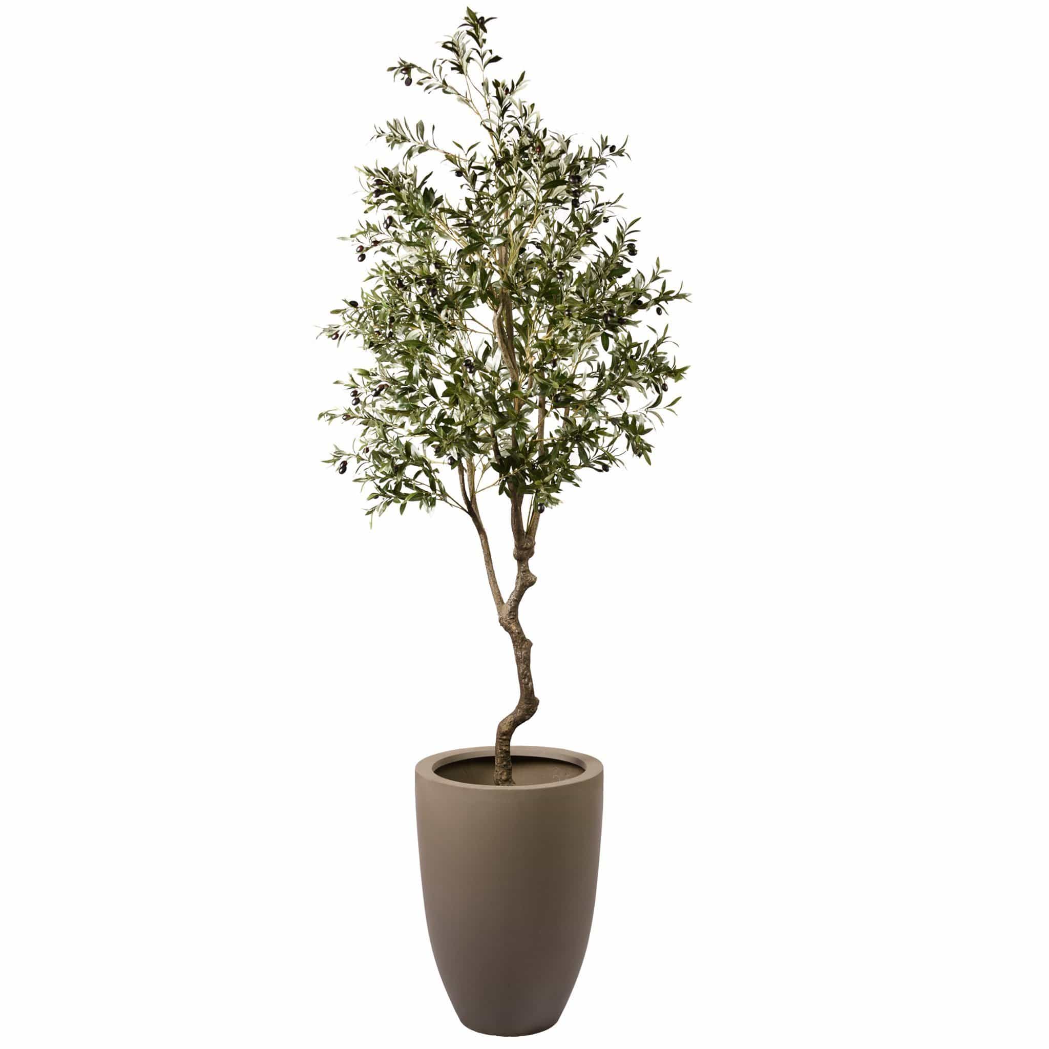 صورة المنتج 6