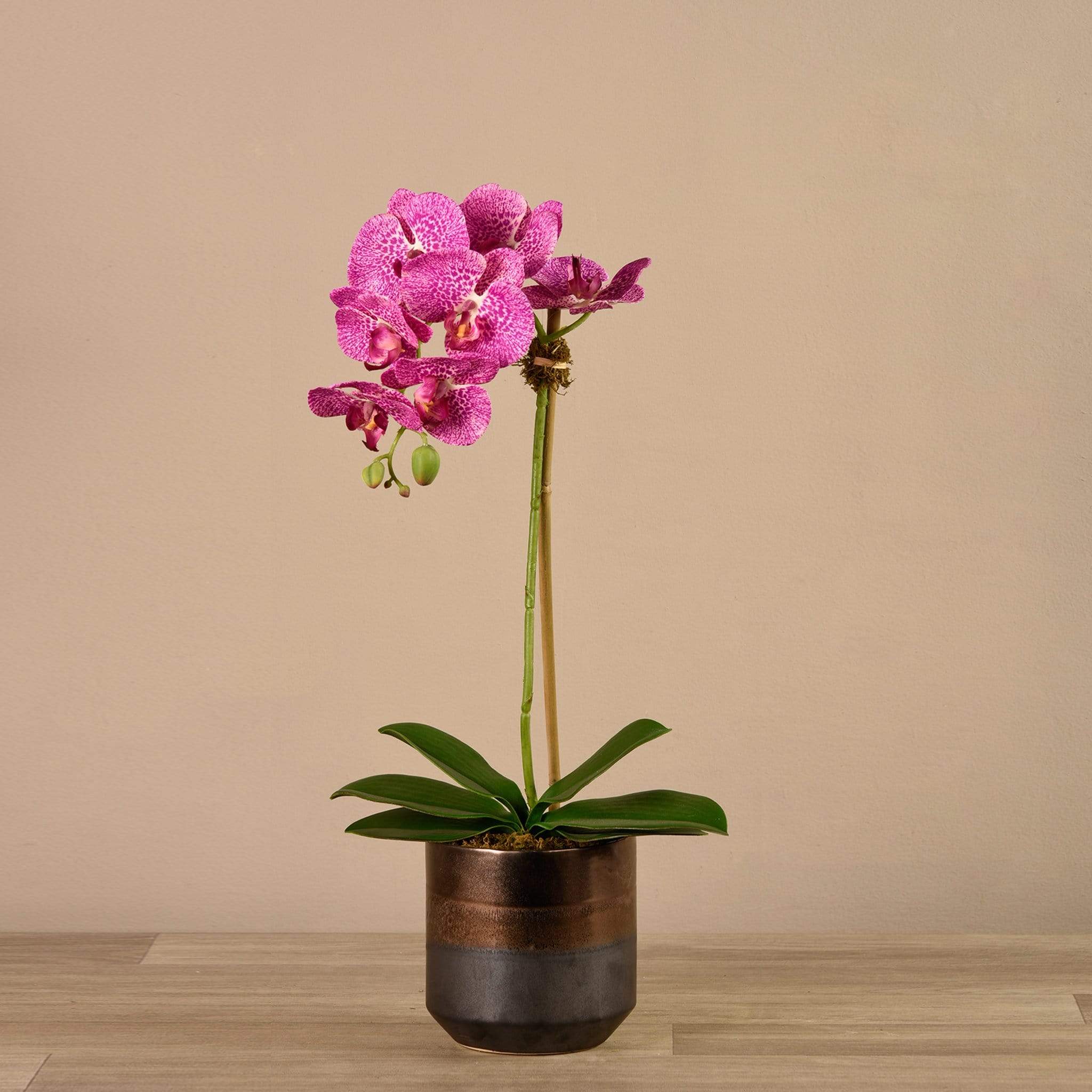 صورة المنتج 10