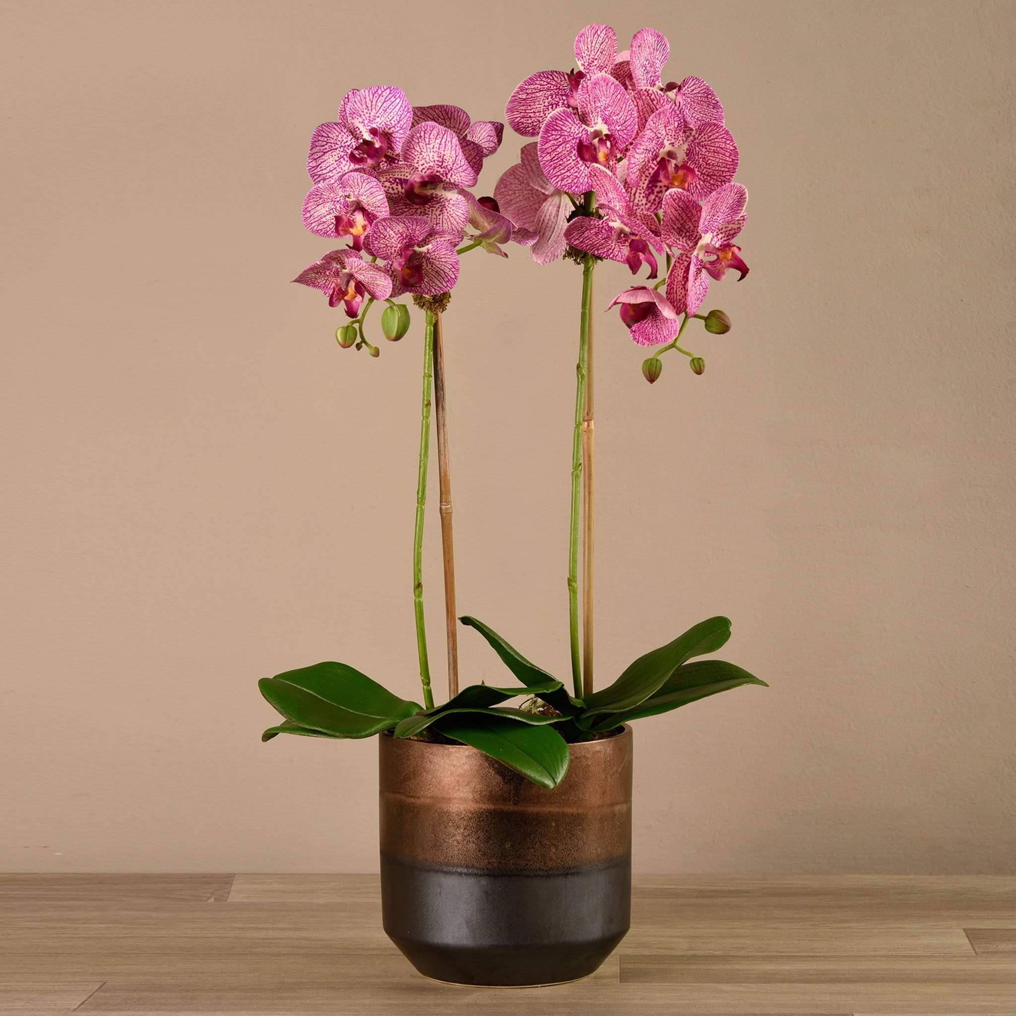 صورة المنتج 16