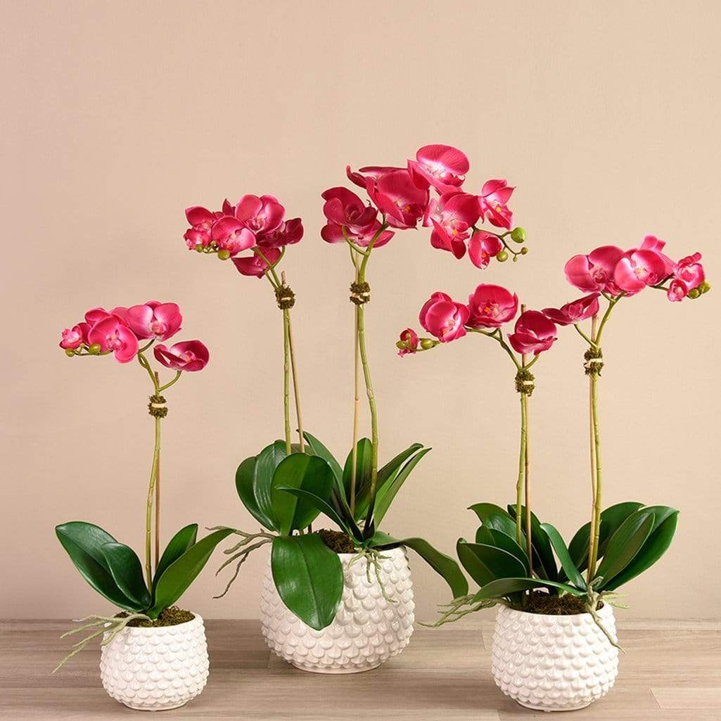 صورة المنتج 8
