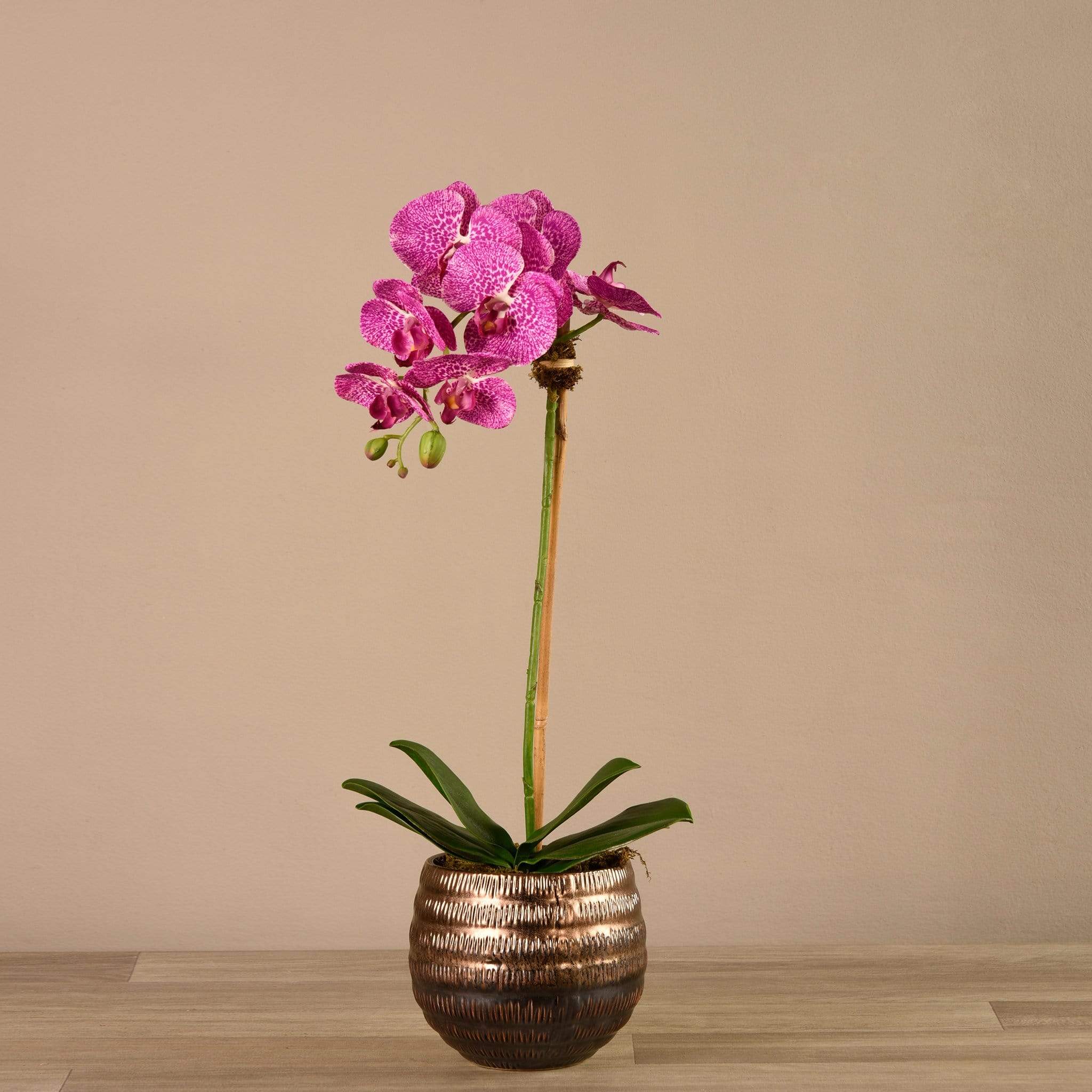 صورة المنتج 6