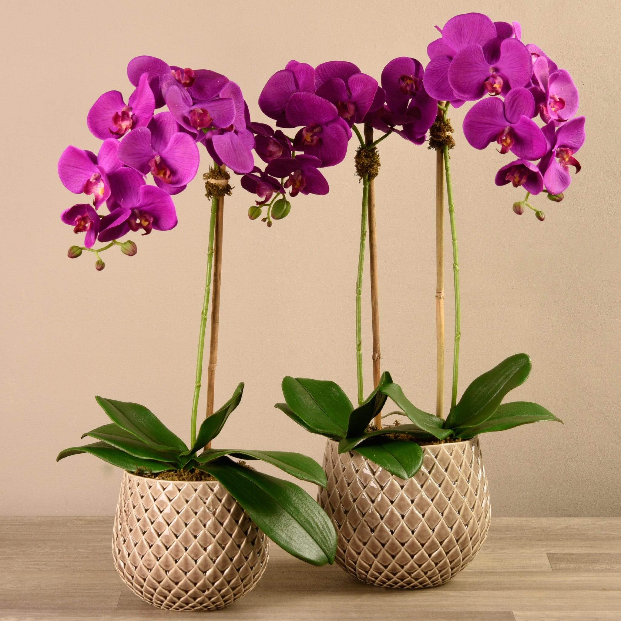 صورة المنتج 4