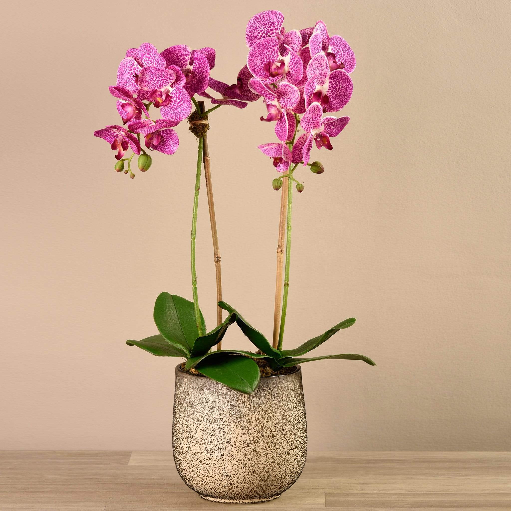 صورة المنتج 9