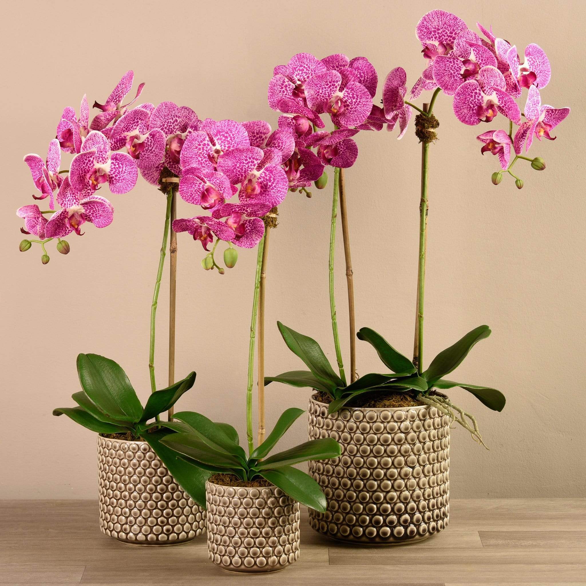صورة المنتج 9