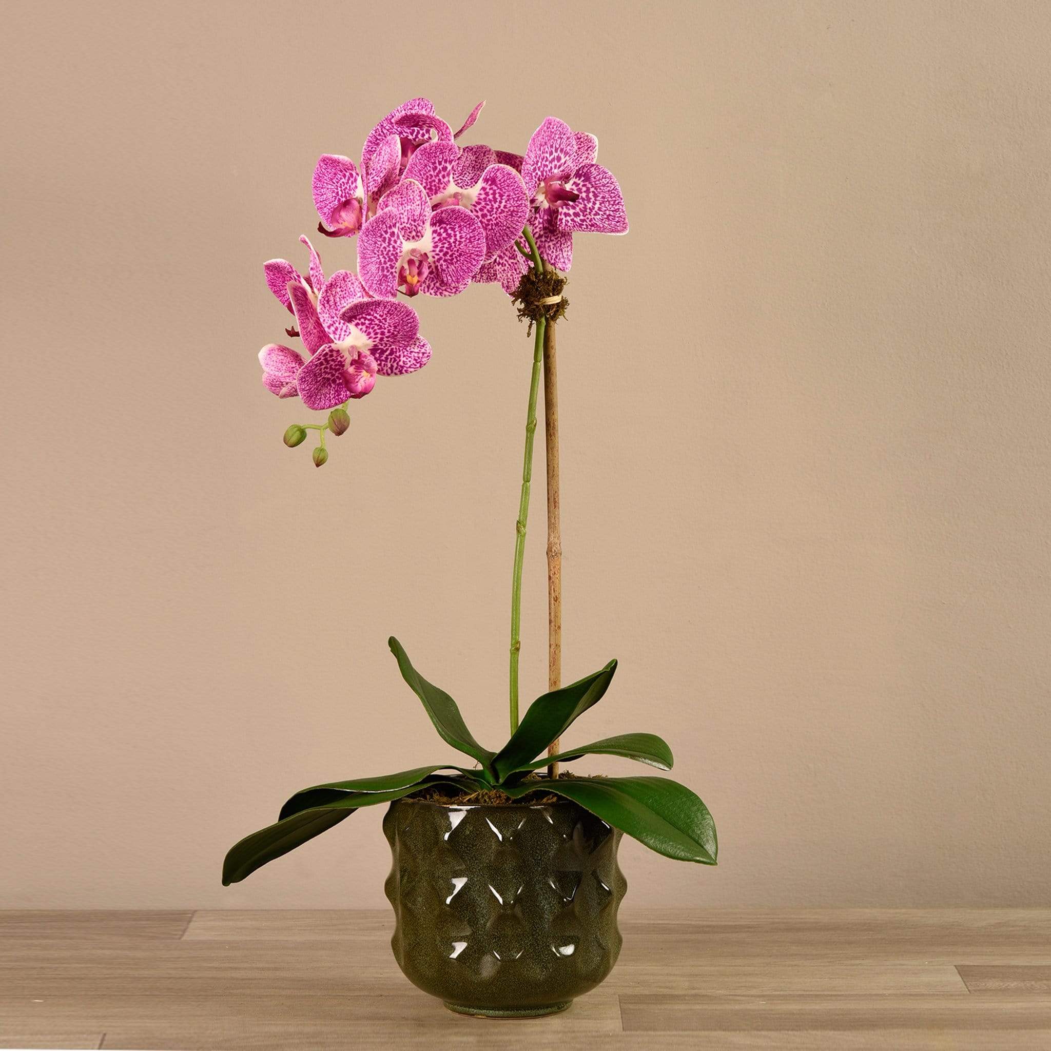 صورة المنتج 11