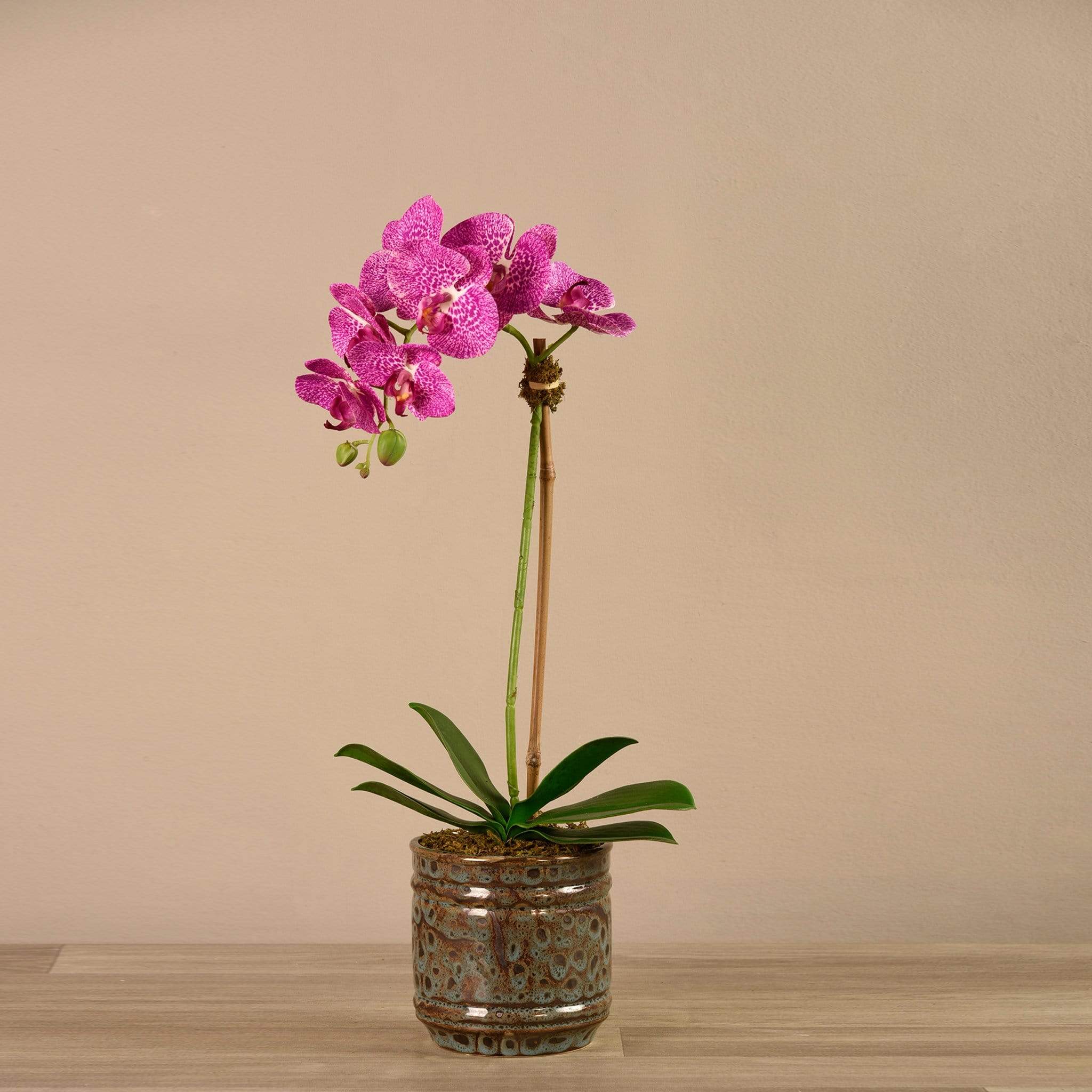 صورة المنتج 10