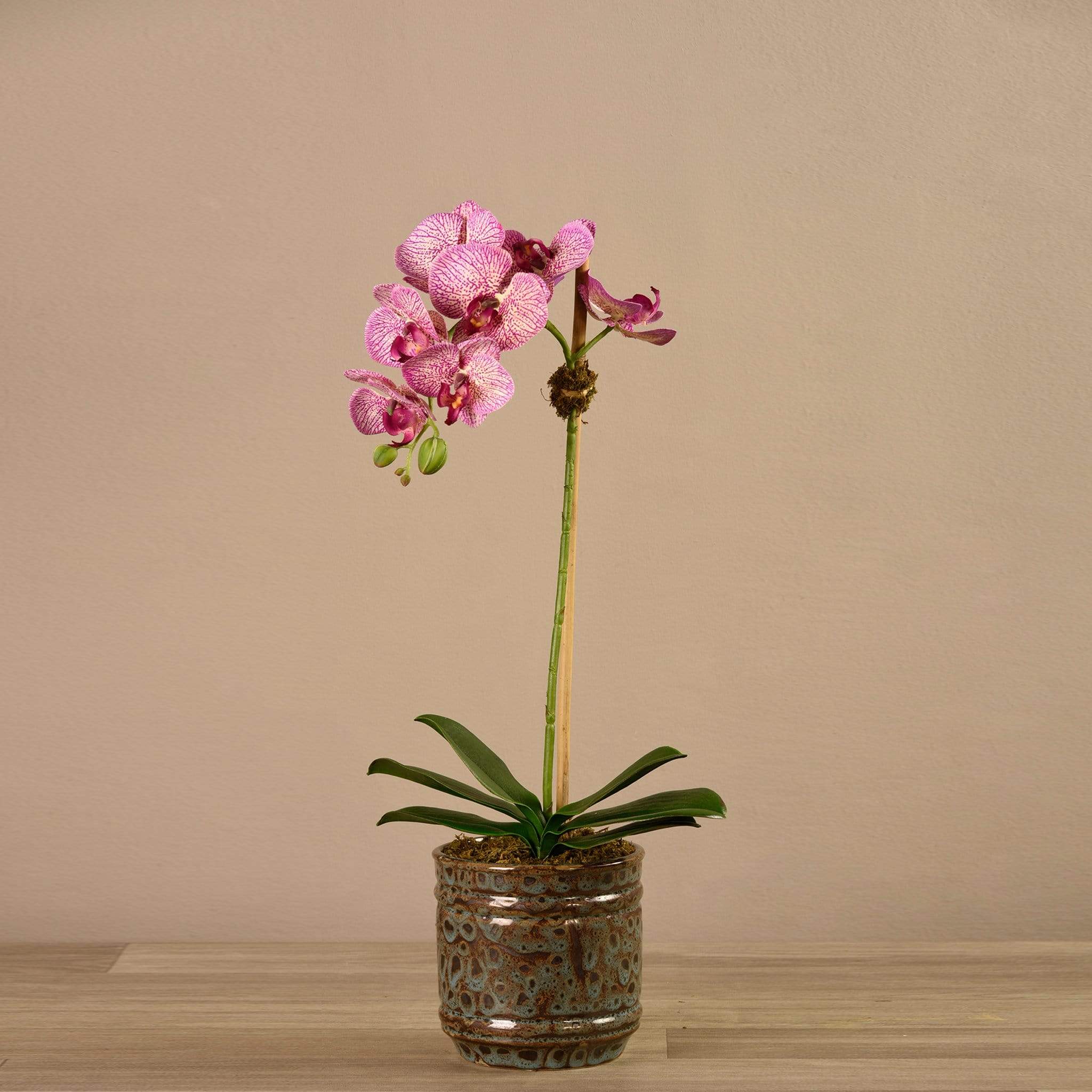 صورة المنتج 14