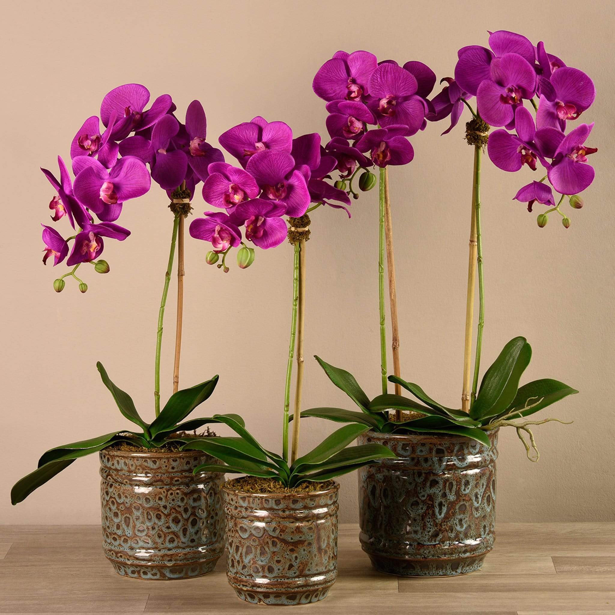 صورة المنتج 5
