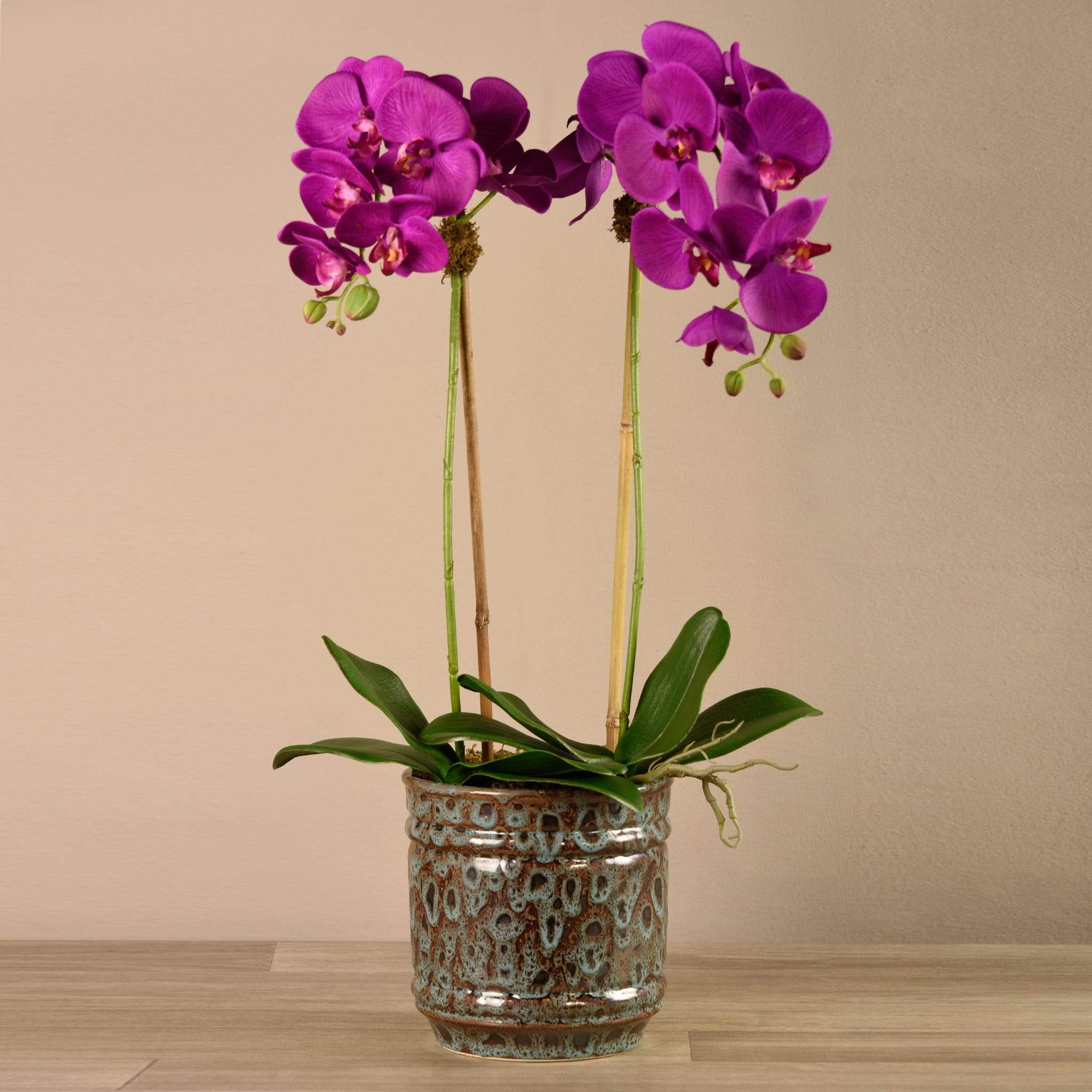 صورة المنتج 8