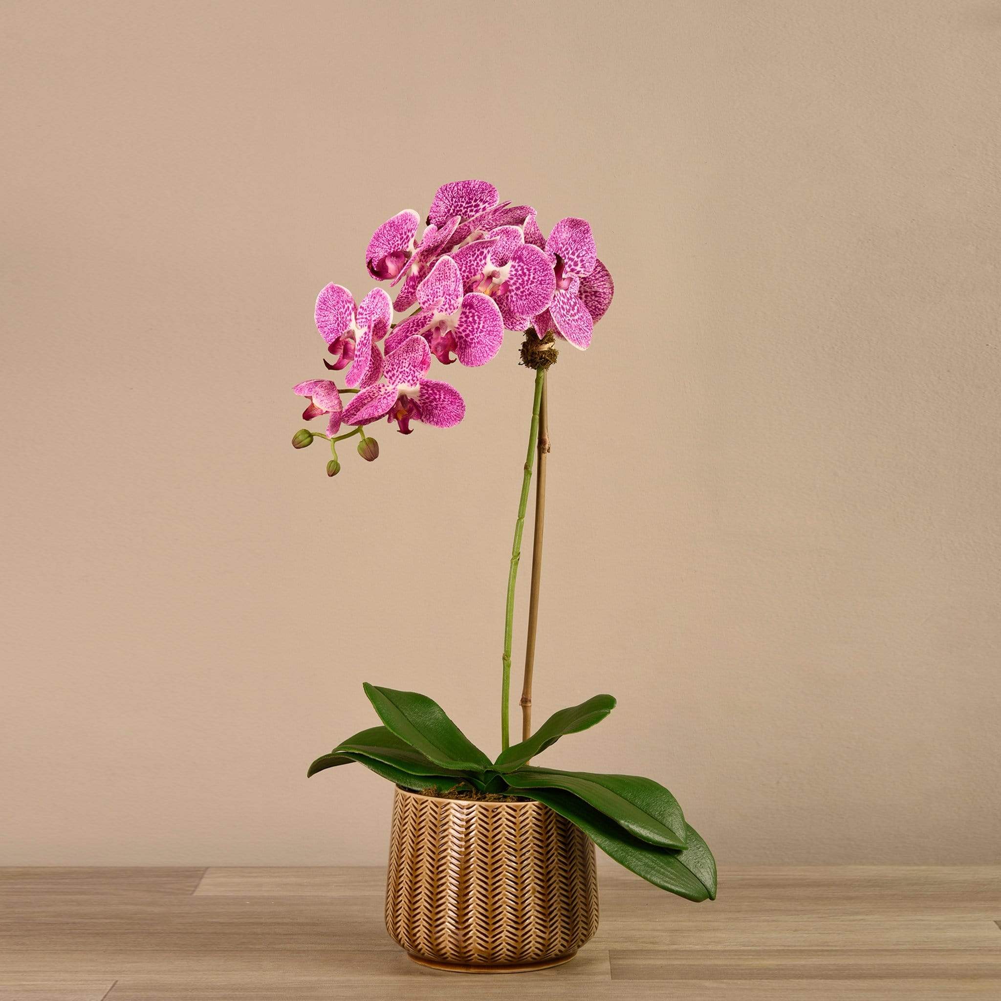 صورة المنتج 8