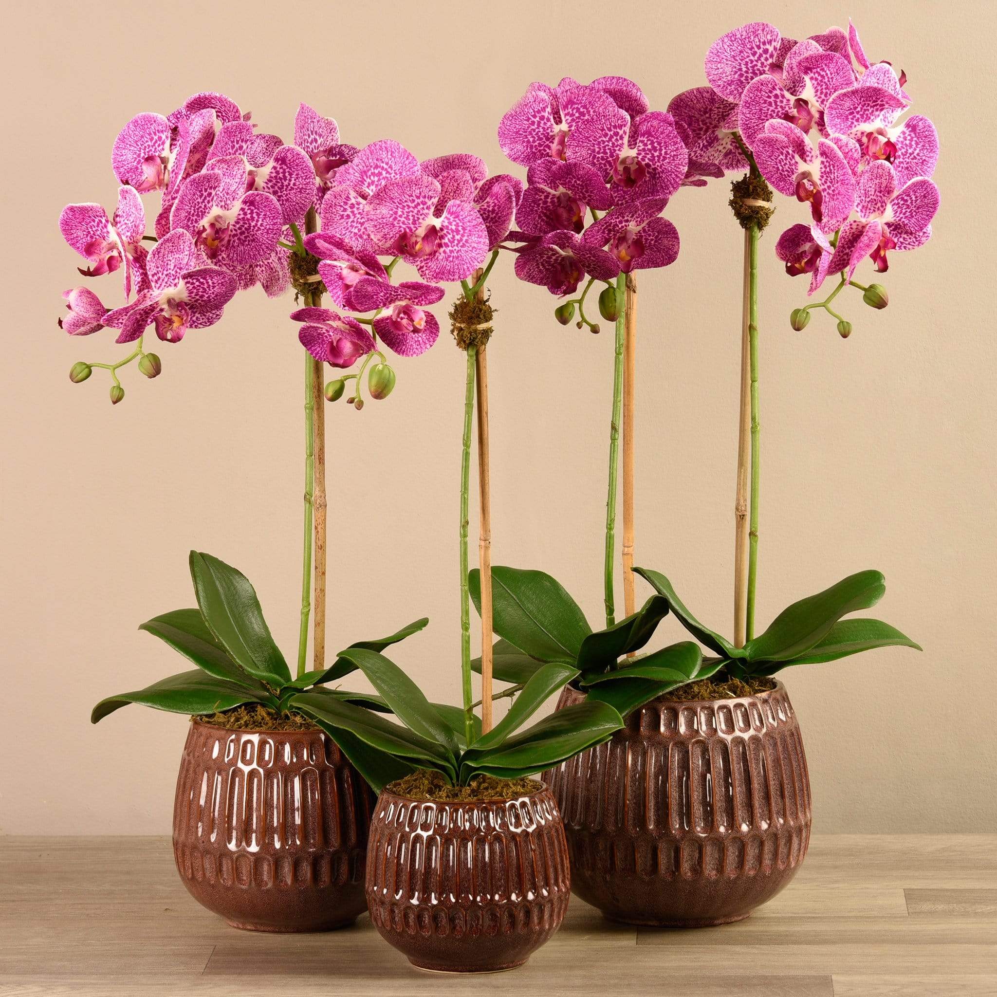 صورة المنتج 9