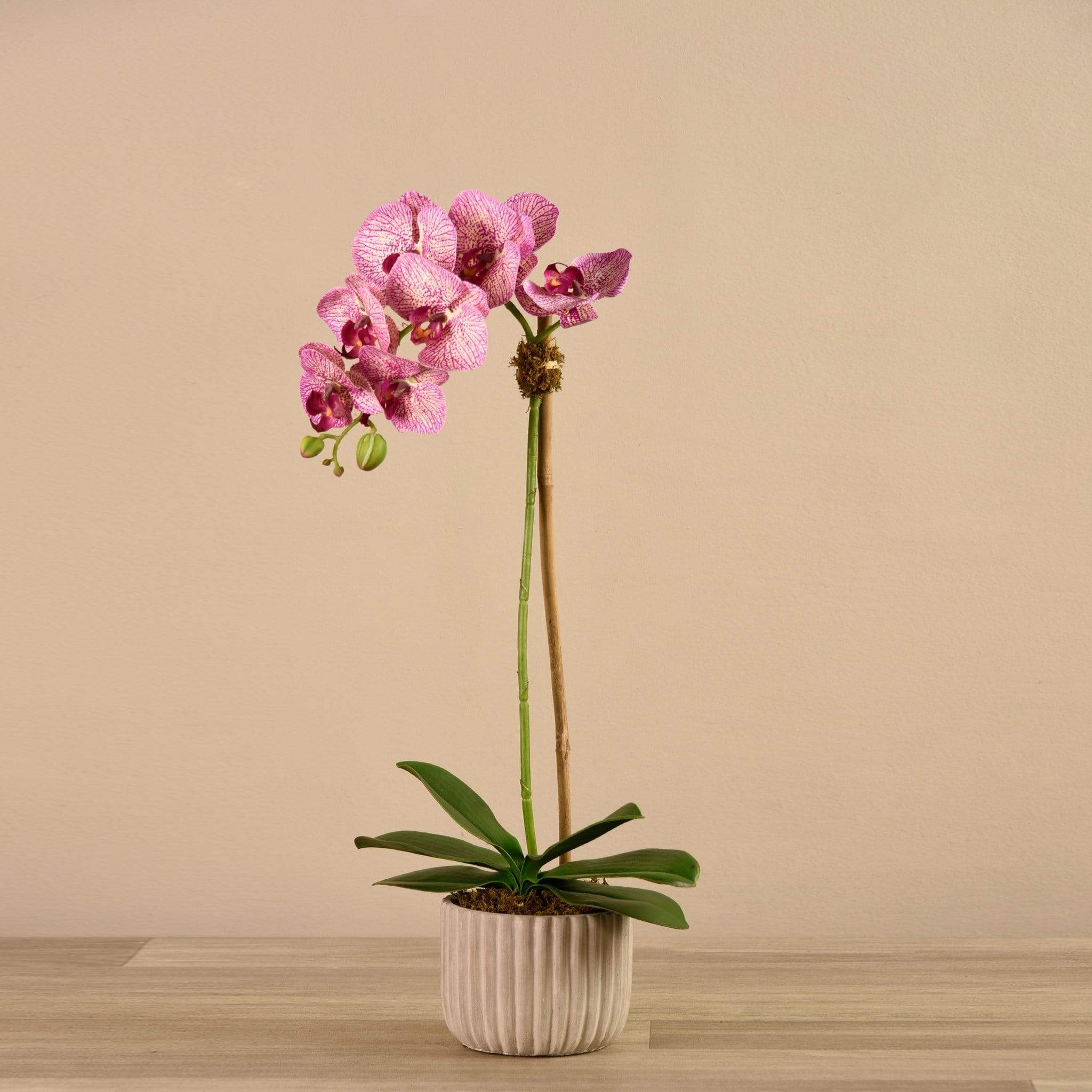 صورة المنتج 11