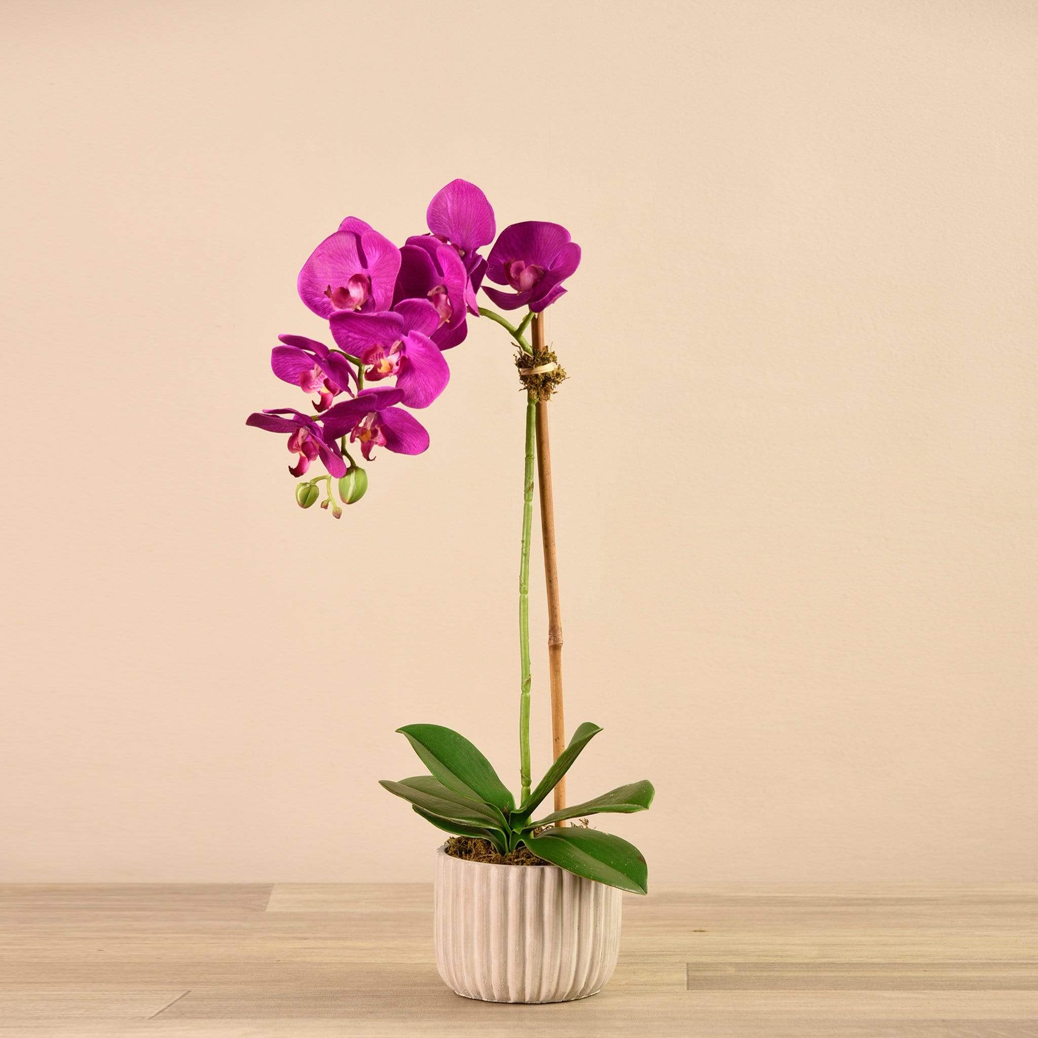 صورة المنتج 5