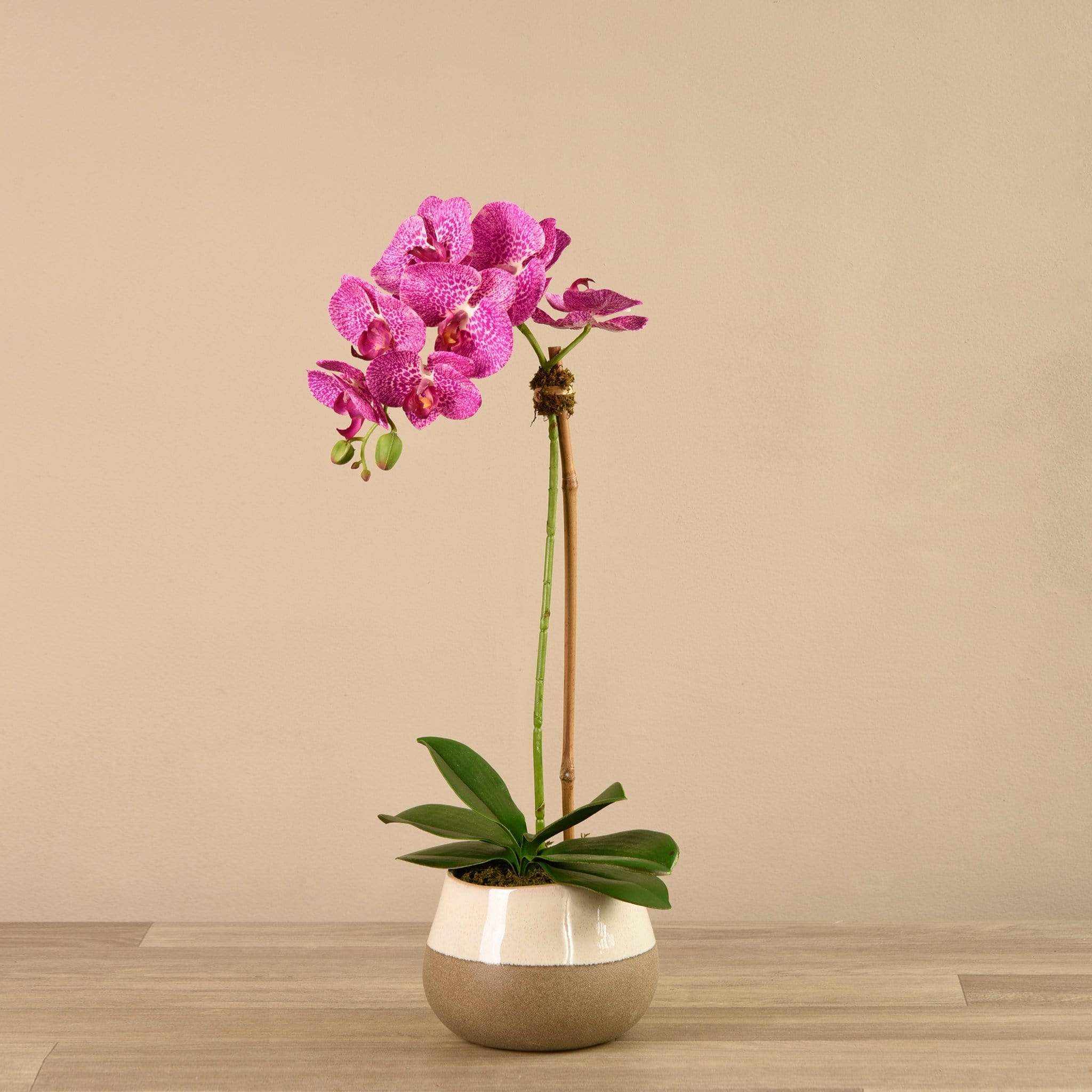 صورة المنتج 10