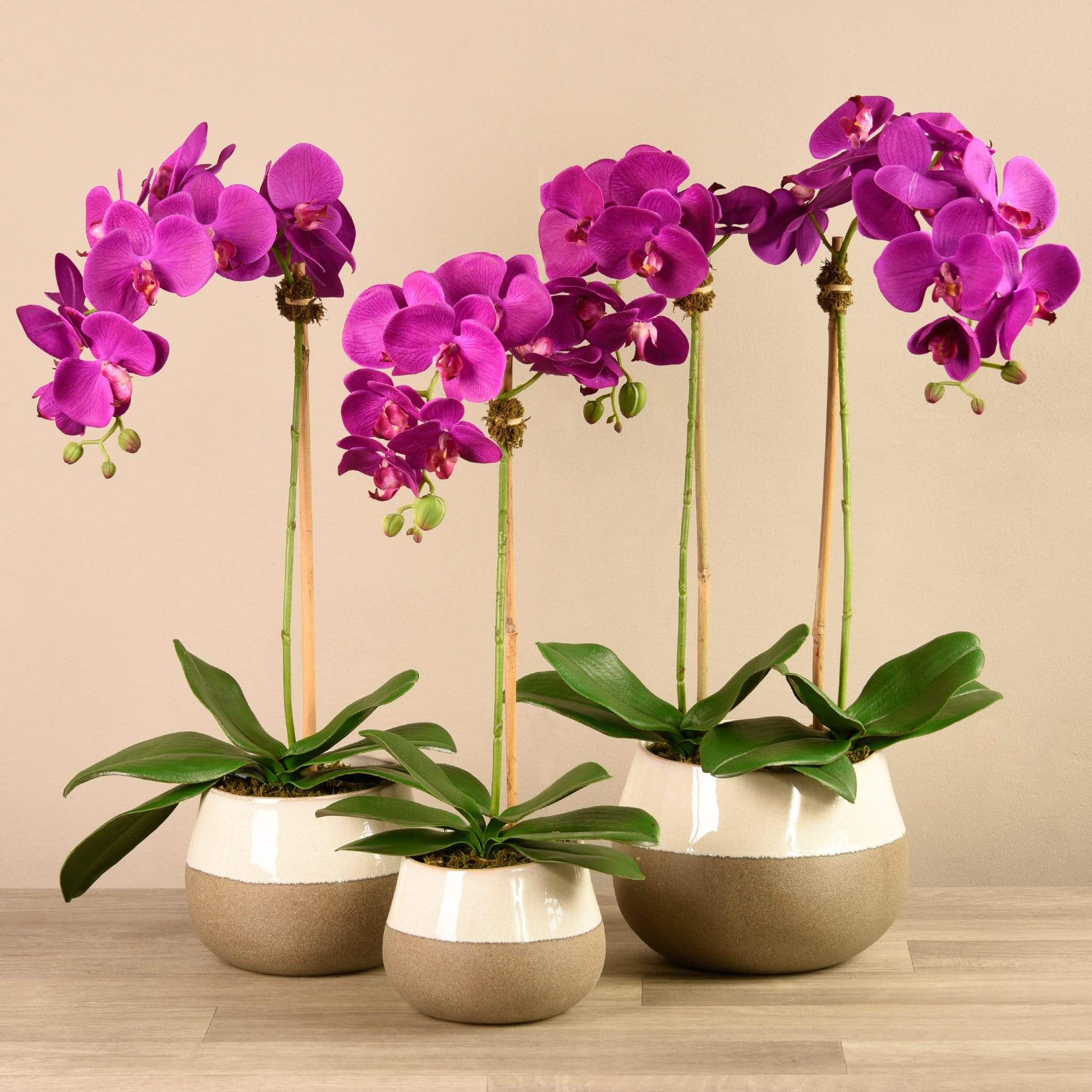 صورة المنتج 5