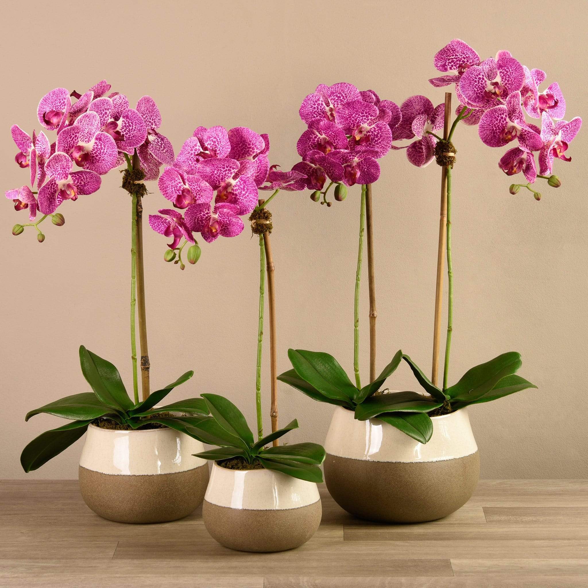 صورة المنتج 9