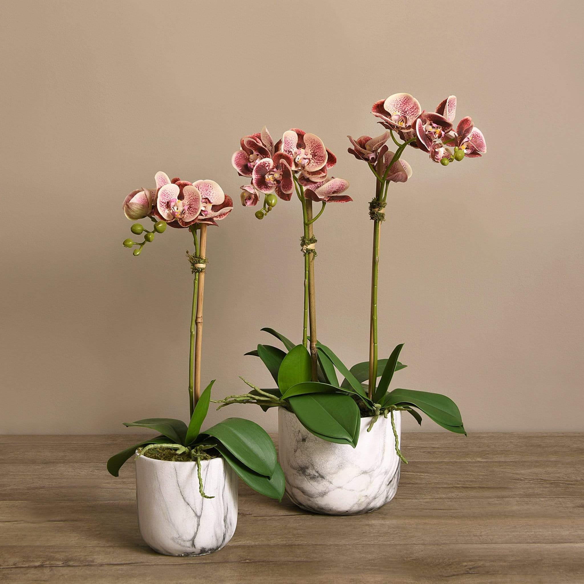 صورة المنتج 13
