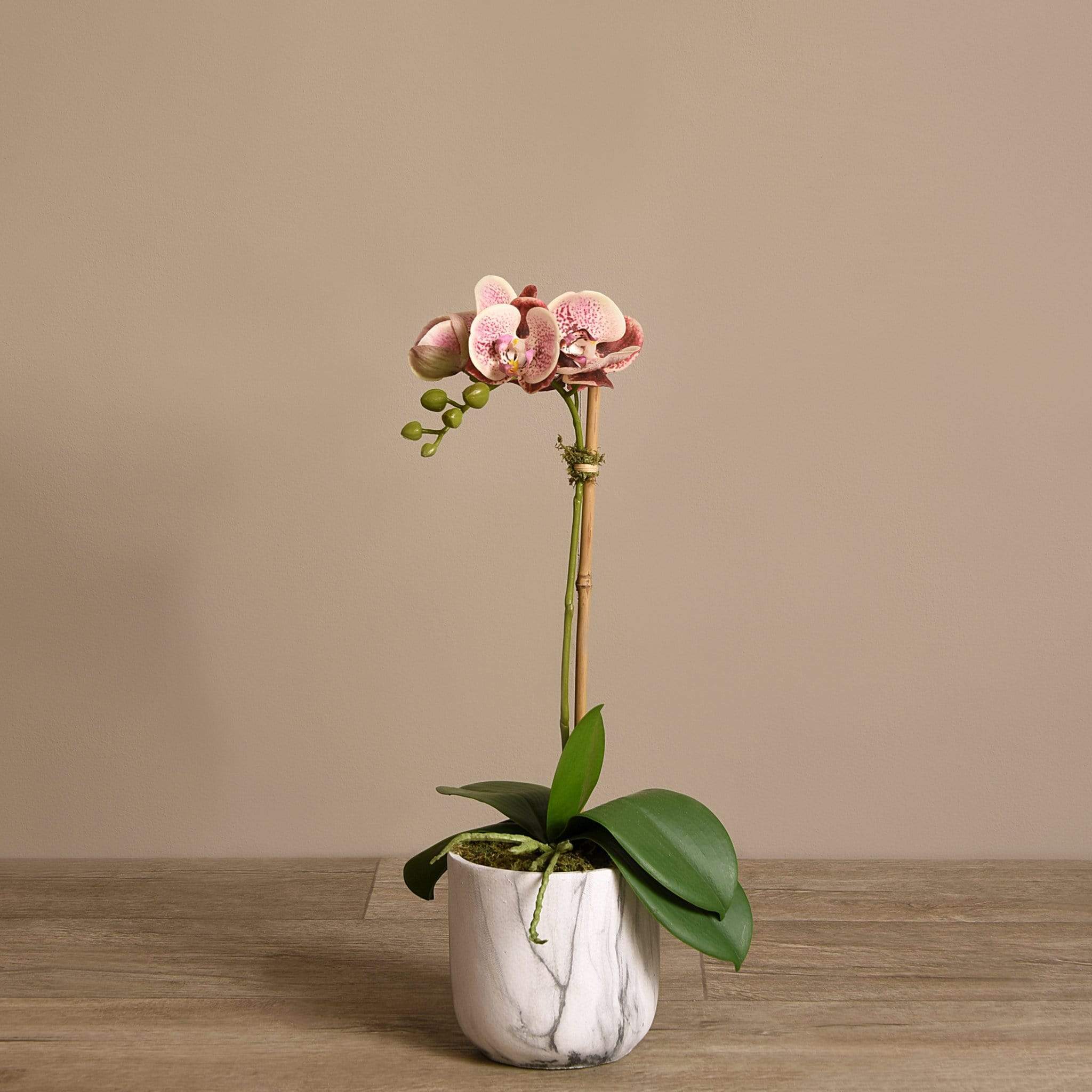 صورة المنتج 14