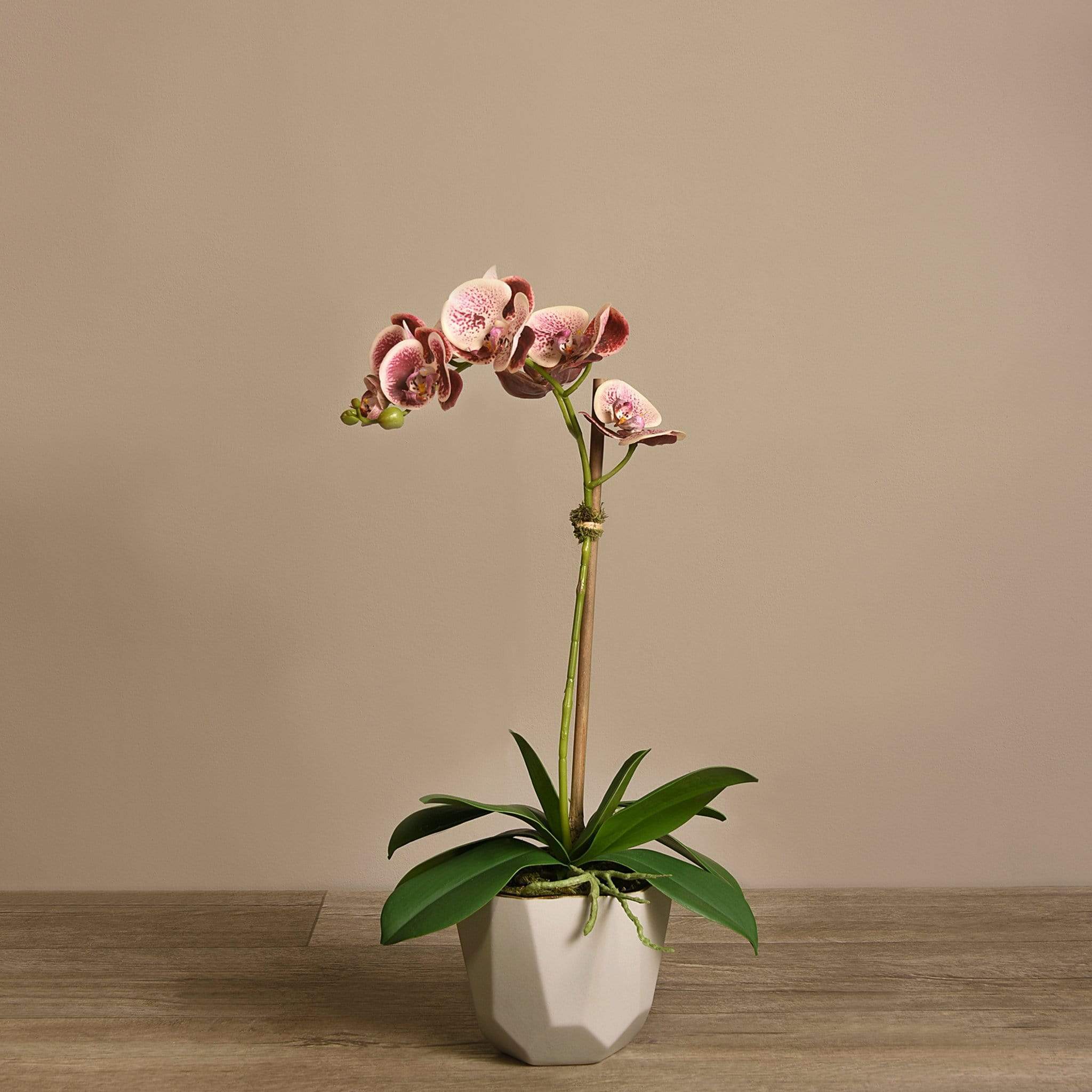 صورة المنتج 10