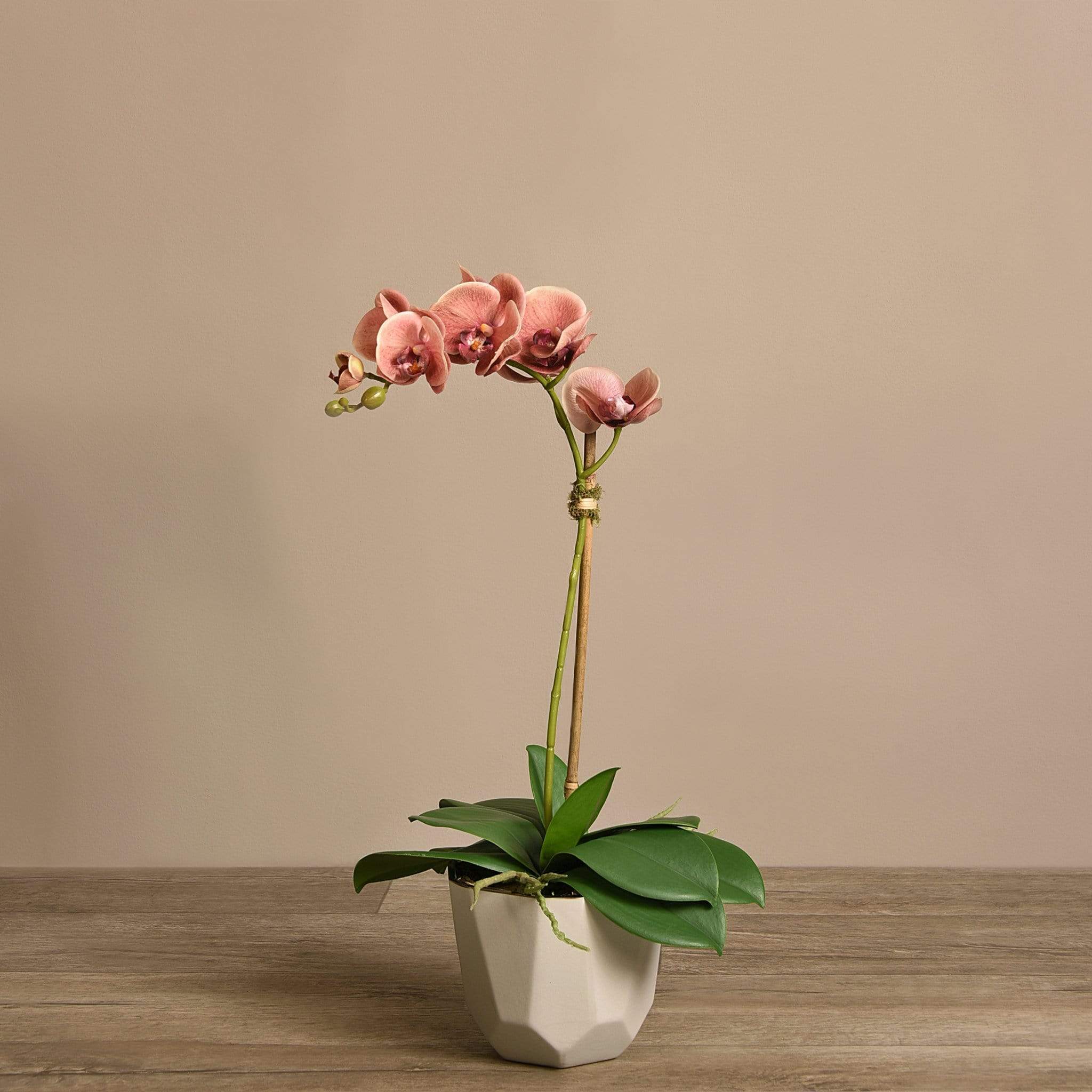 صورة المنتج 8