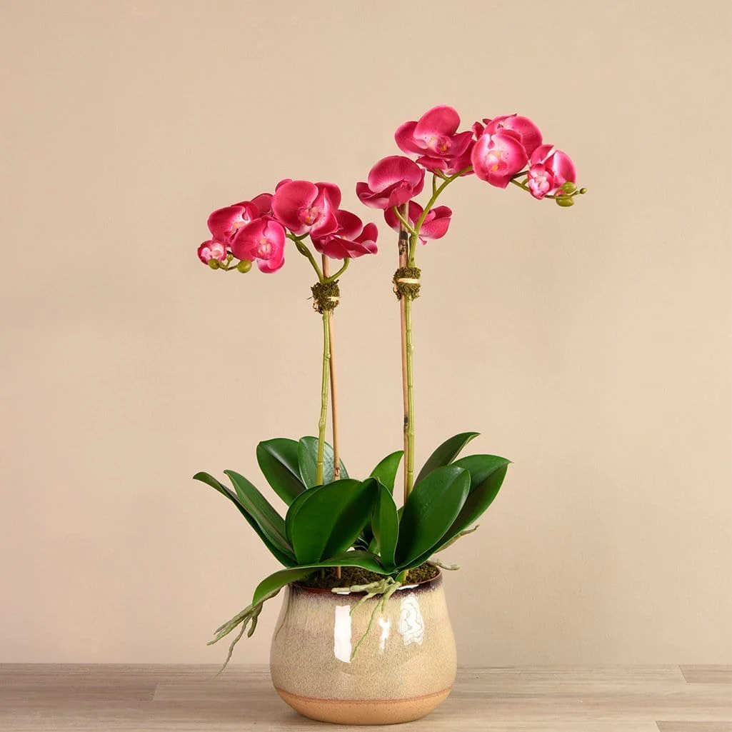صورة المنتج 7