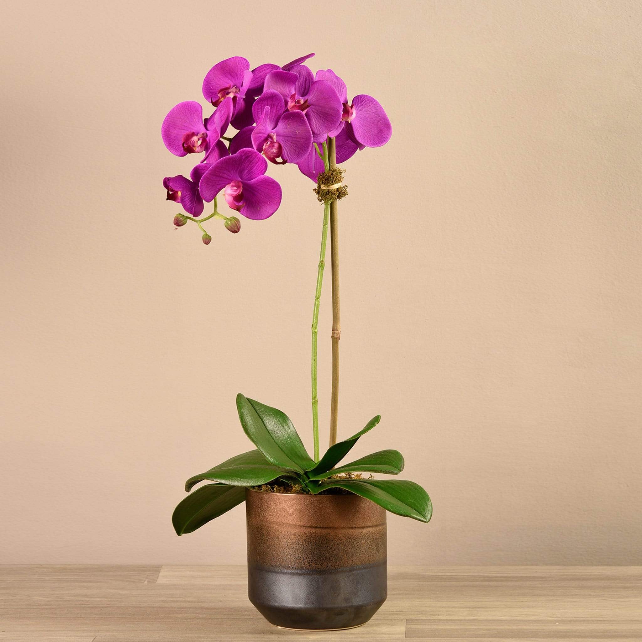 صورة المنتج 7