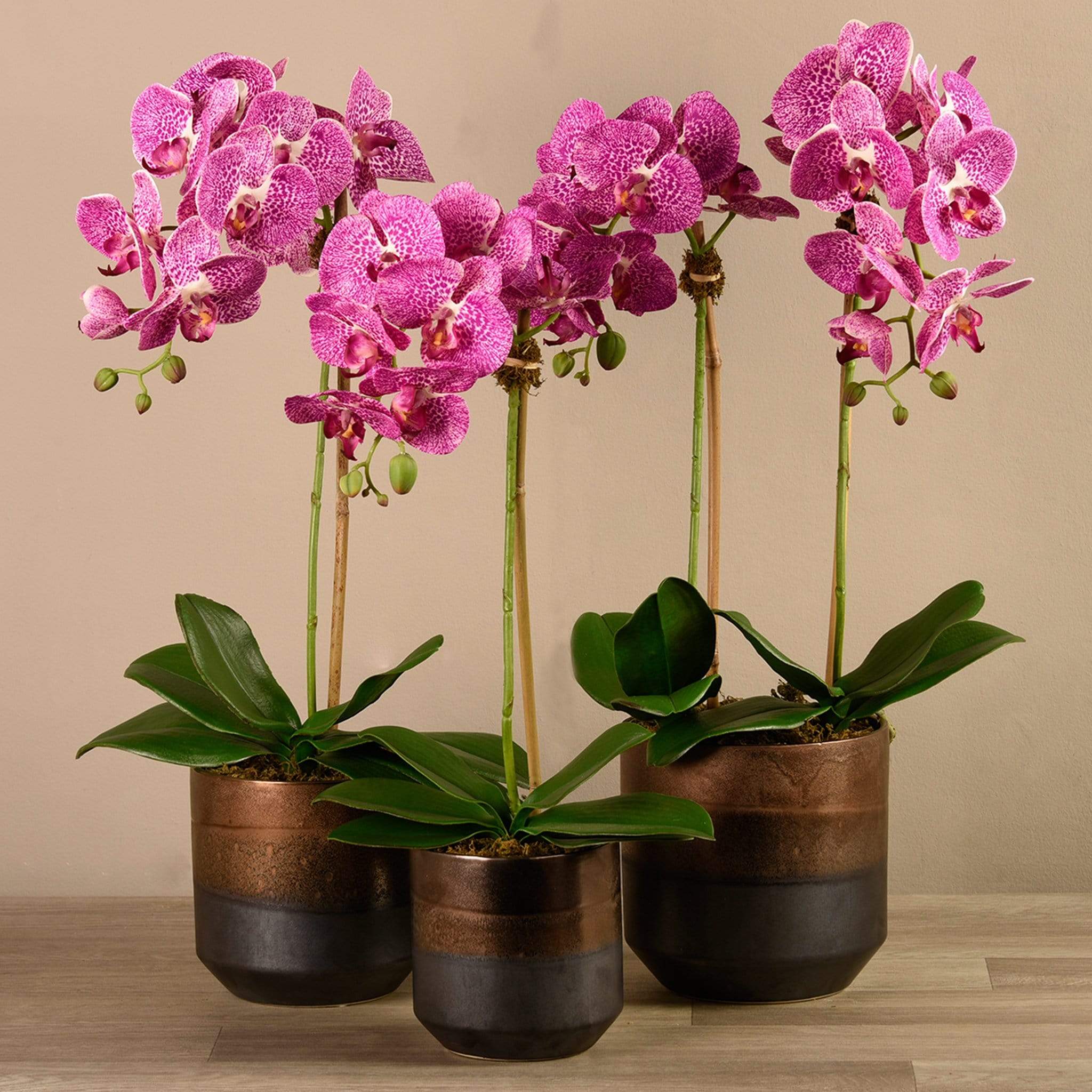 صورة المنتج 9