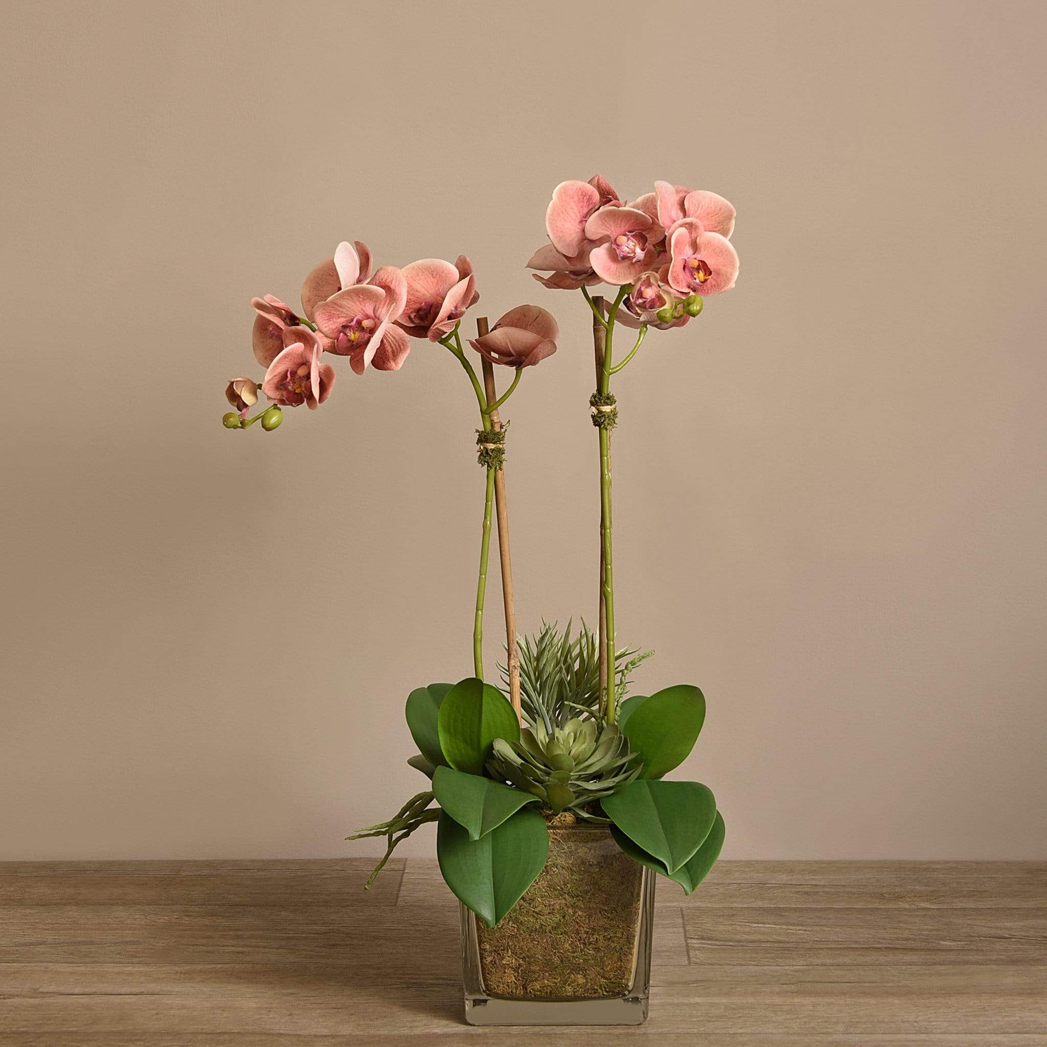 صورة المنتج 6