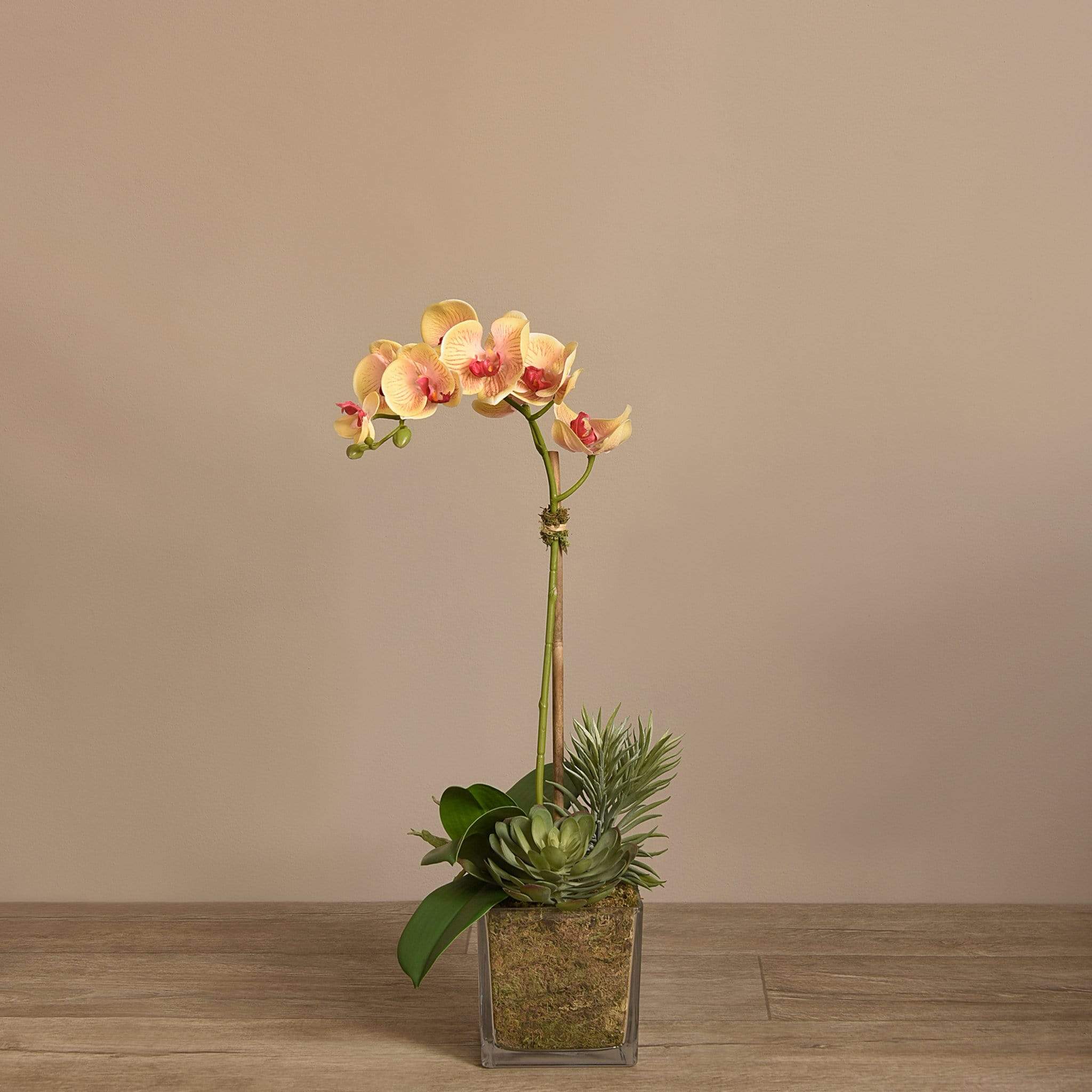صورة المنتج 9