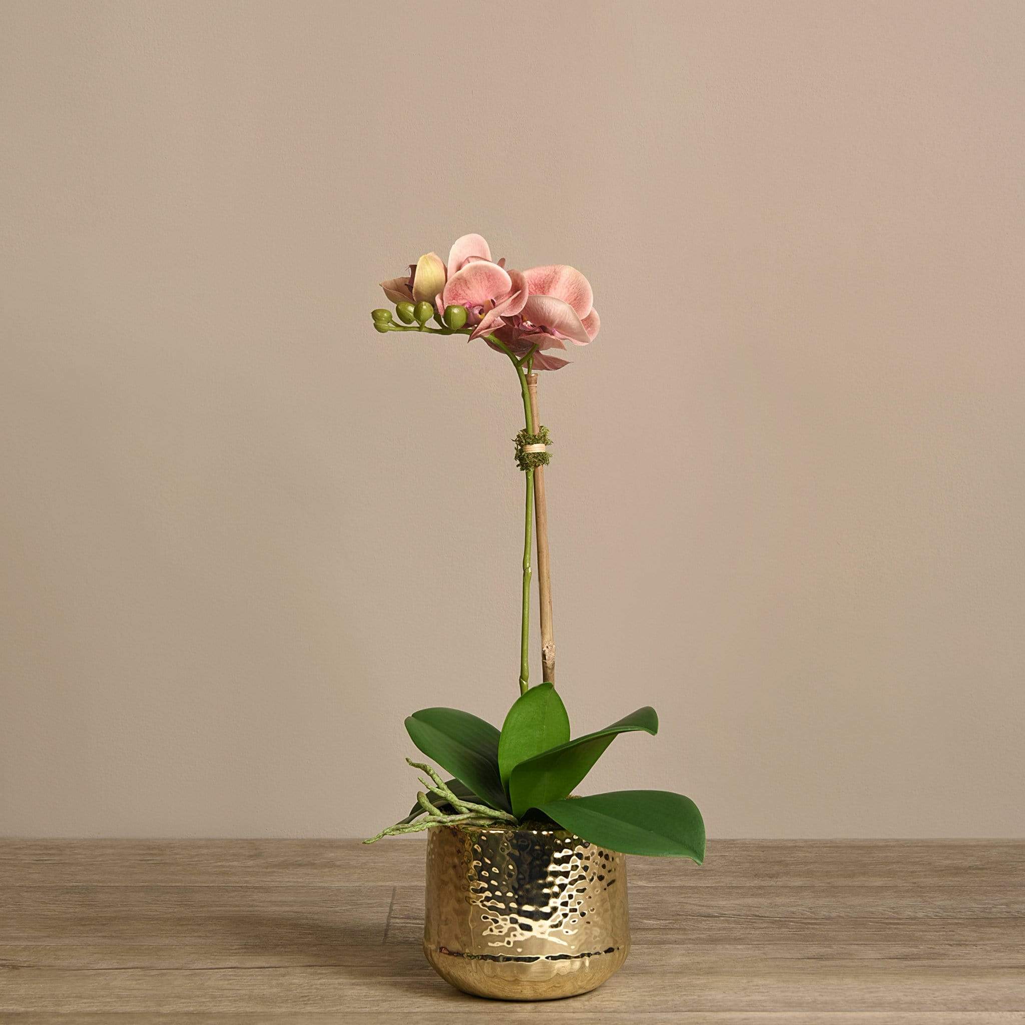 صورة المنتج 7