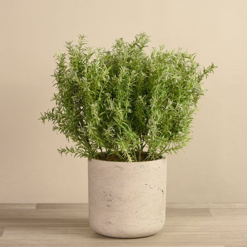 صورة المنتج 4