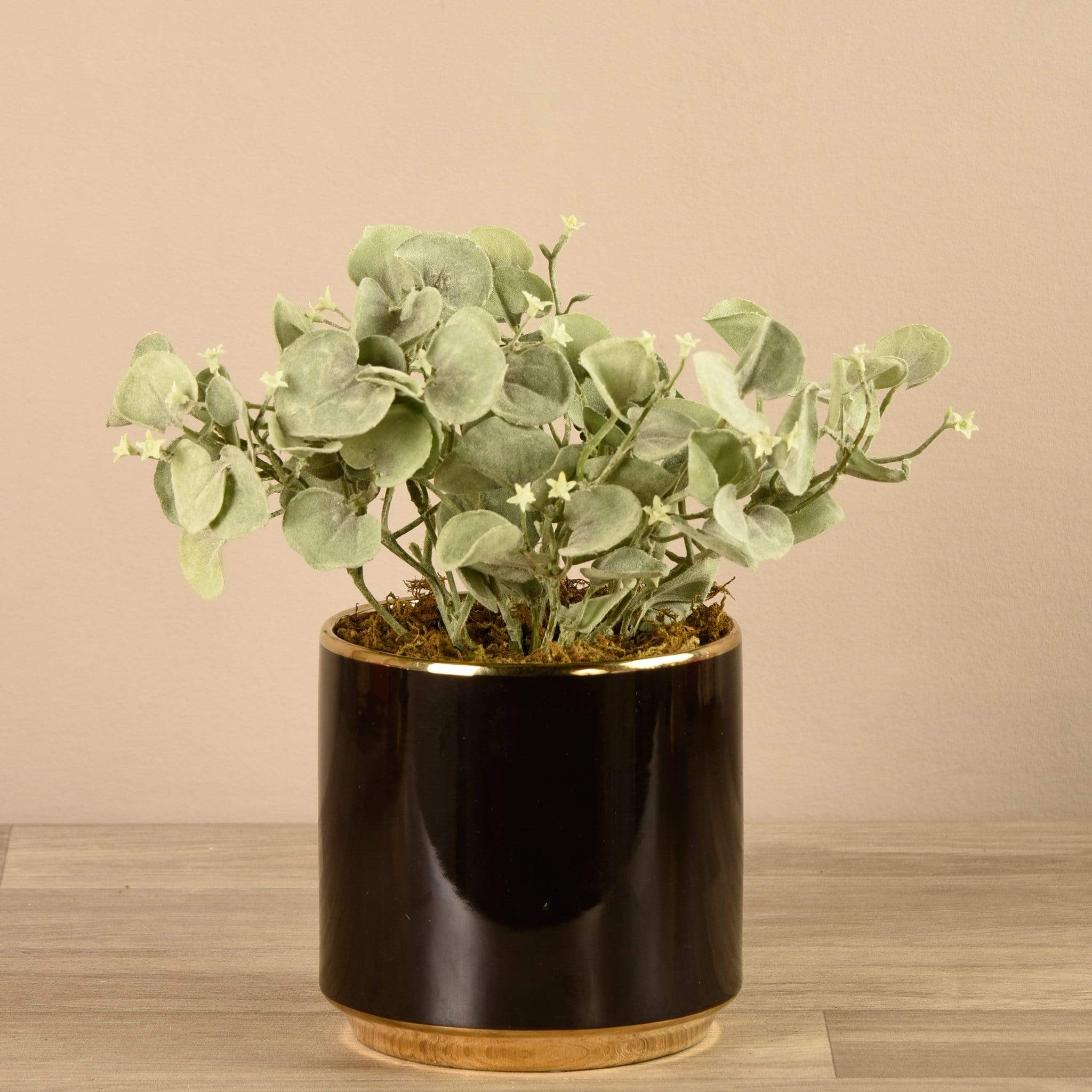 صورة المنتج 2